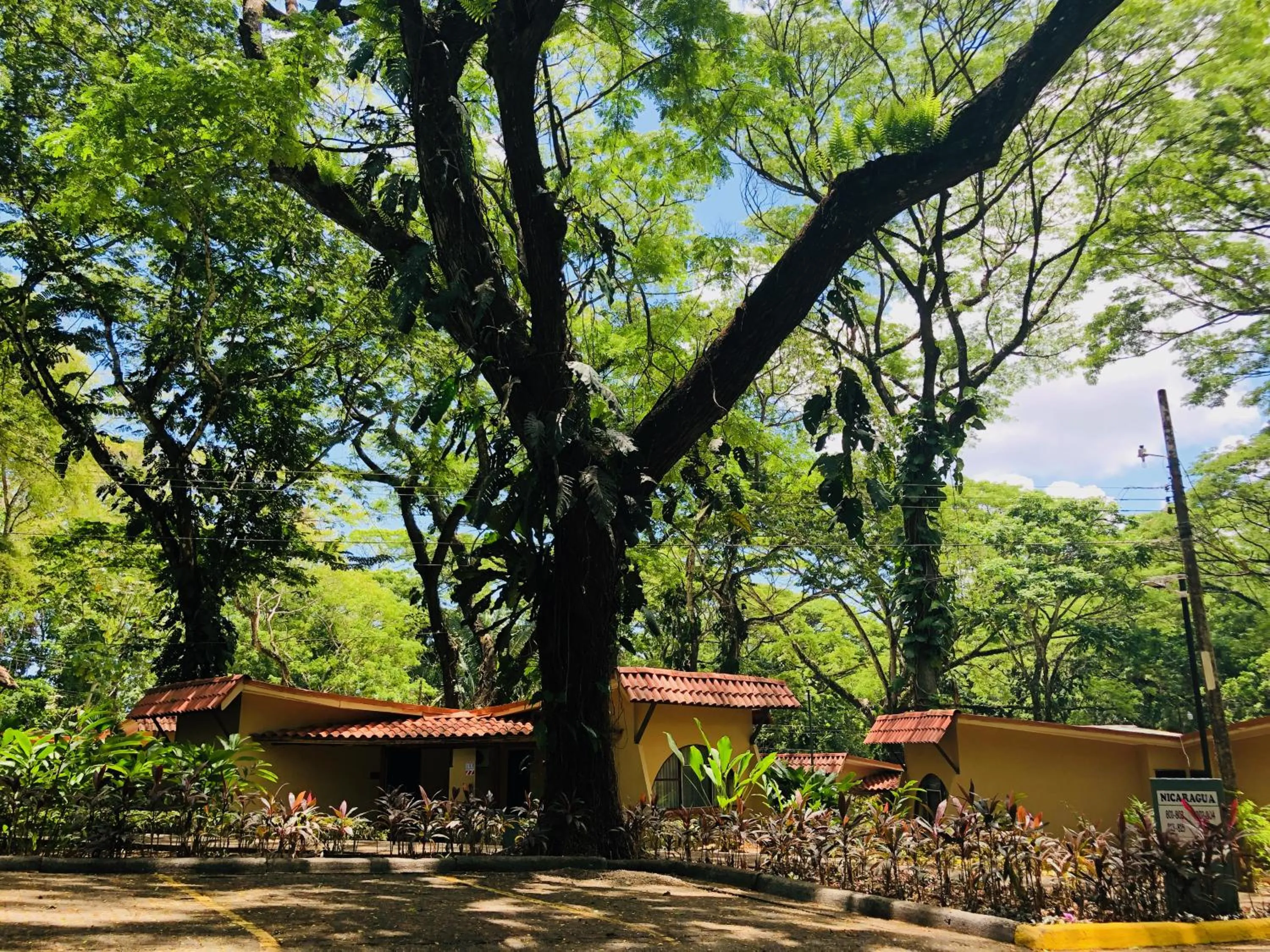 Garden in Hotel Punta Leona