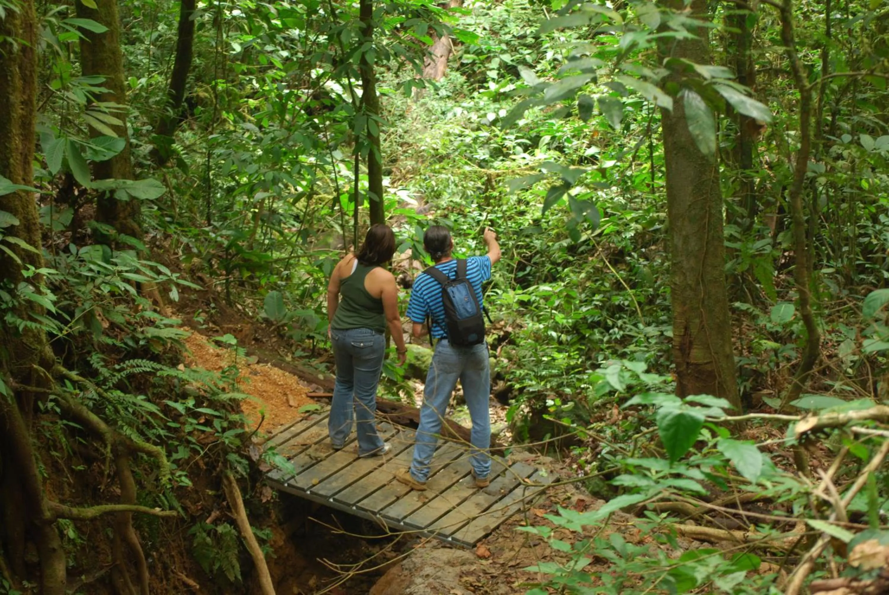 Guests in Celeste Mountain Lodge