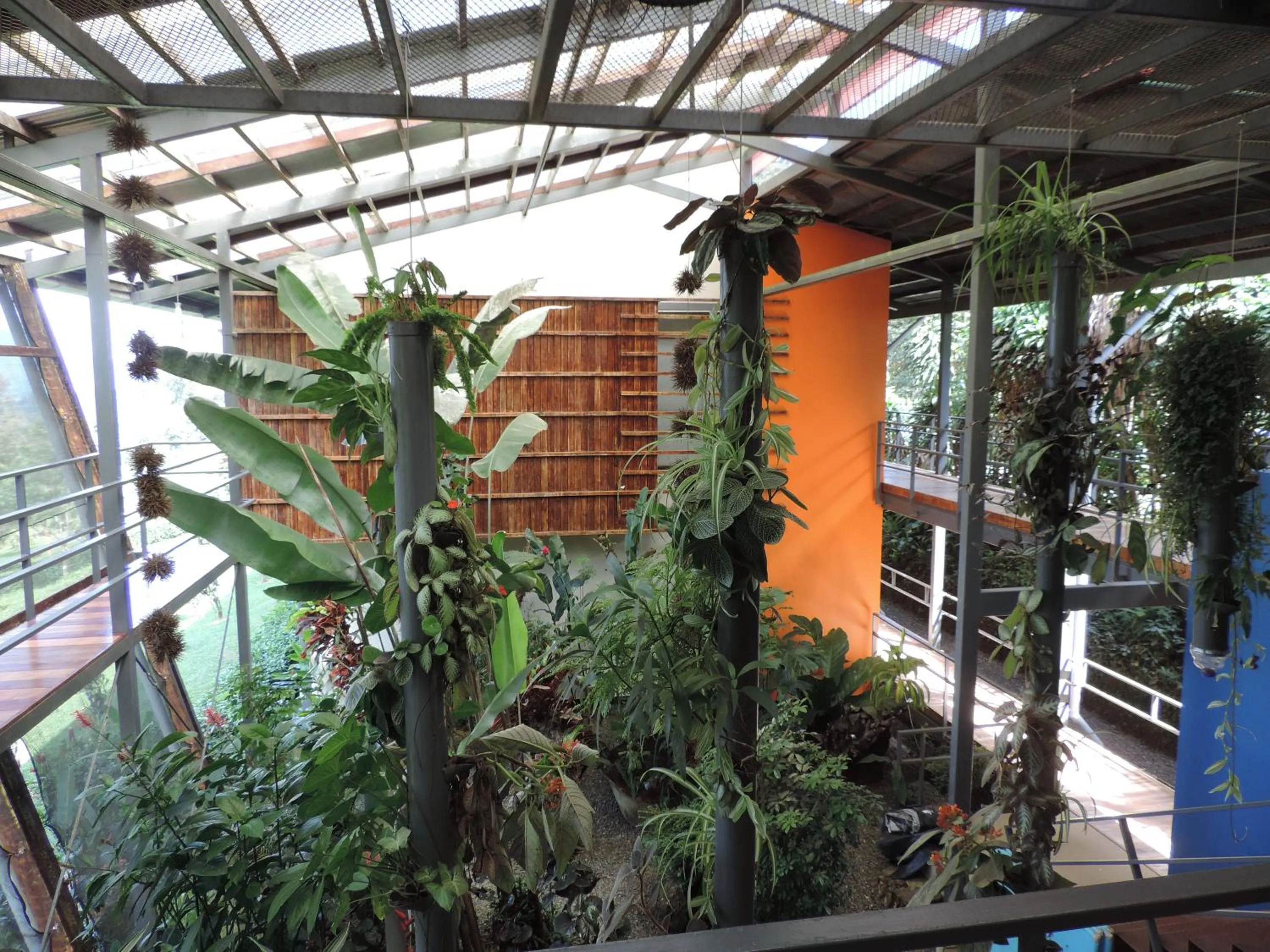 Day in Celeste Mountain Lodge