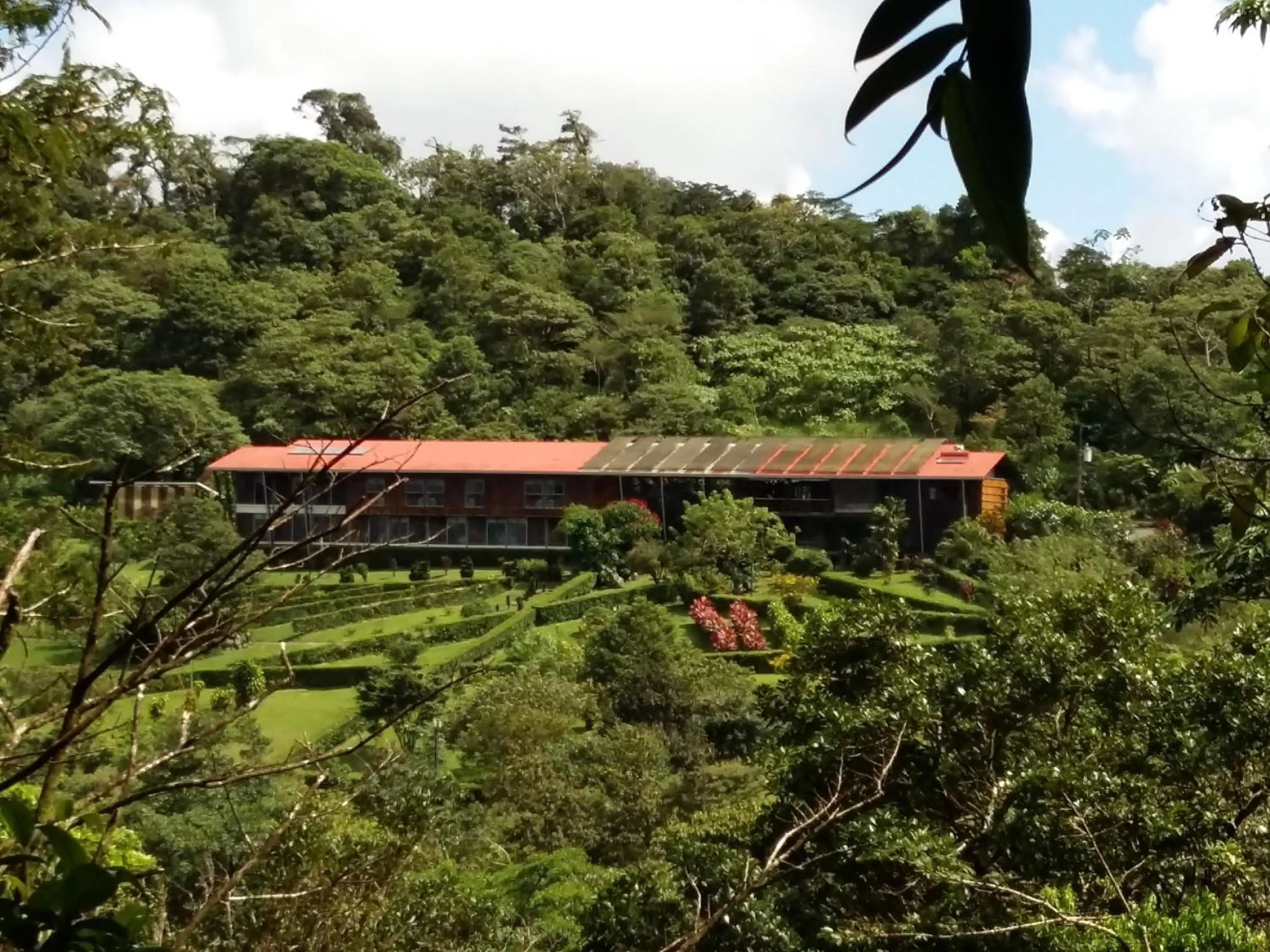 Bird's eye view in Celeste Mountain Lodge
