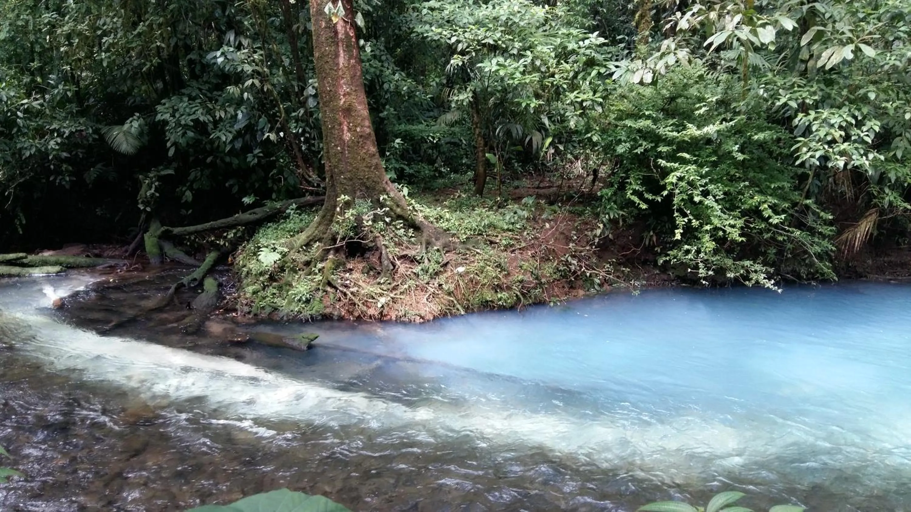 Natural landscape in Celeste Mountain Lodge