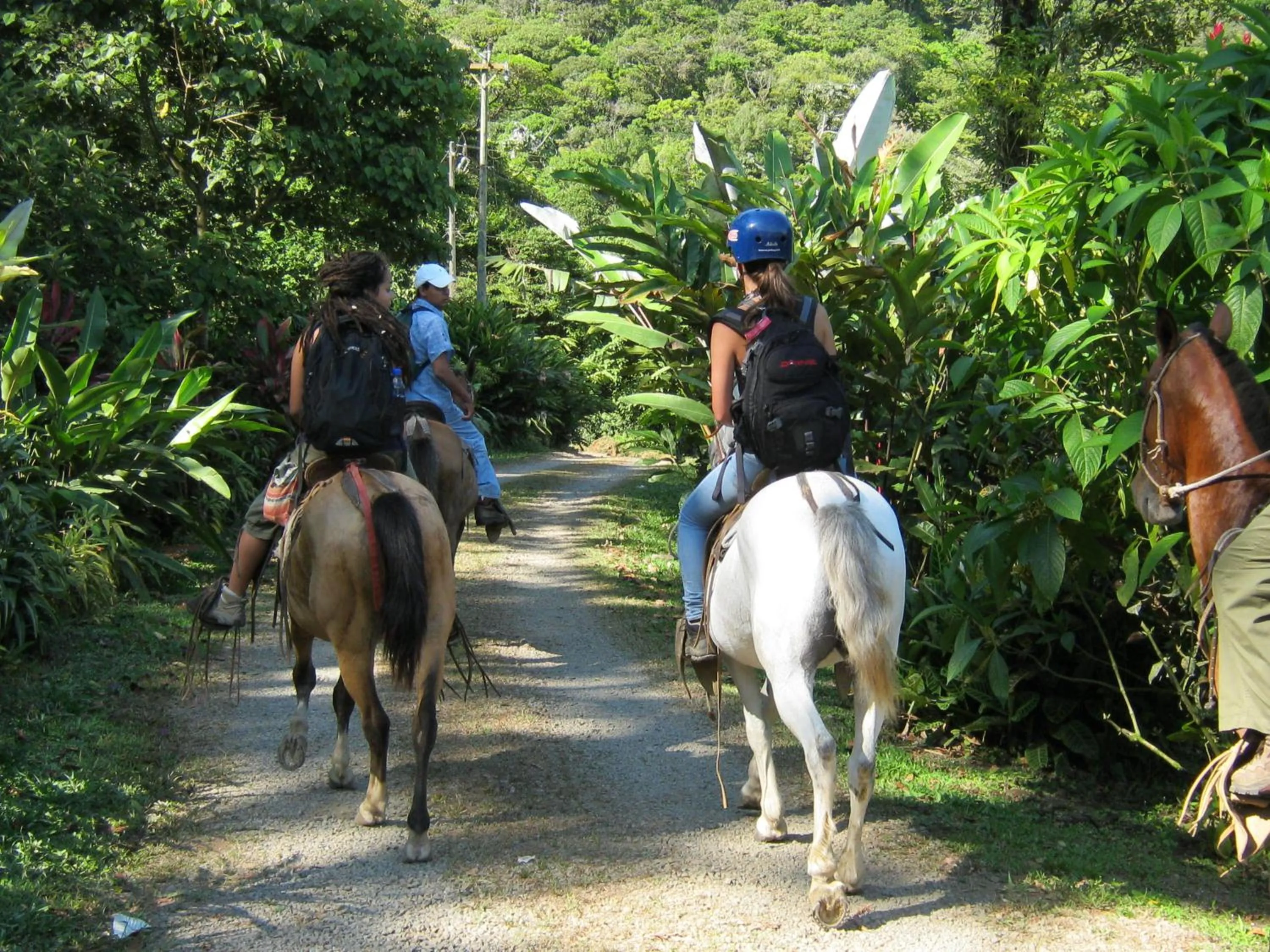 Horse-riding in Celeste Mountain Lodge