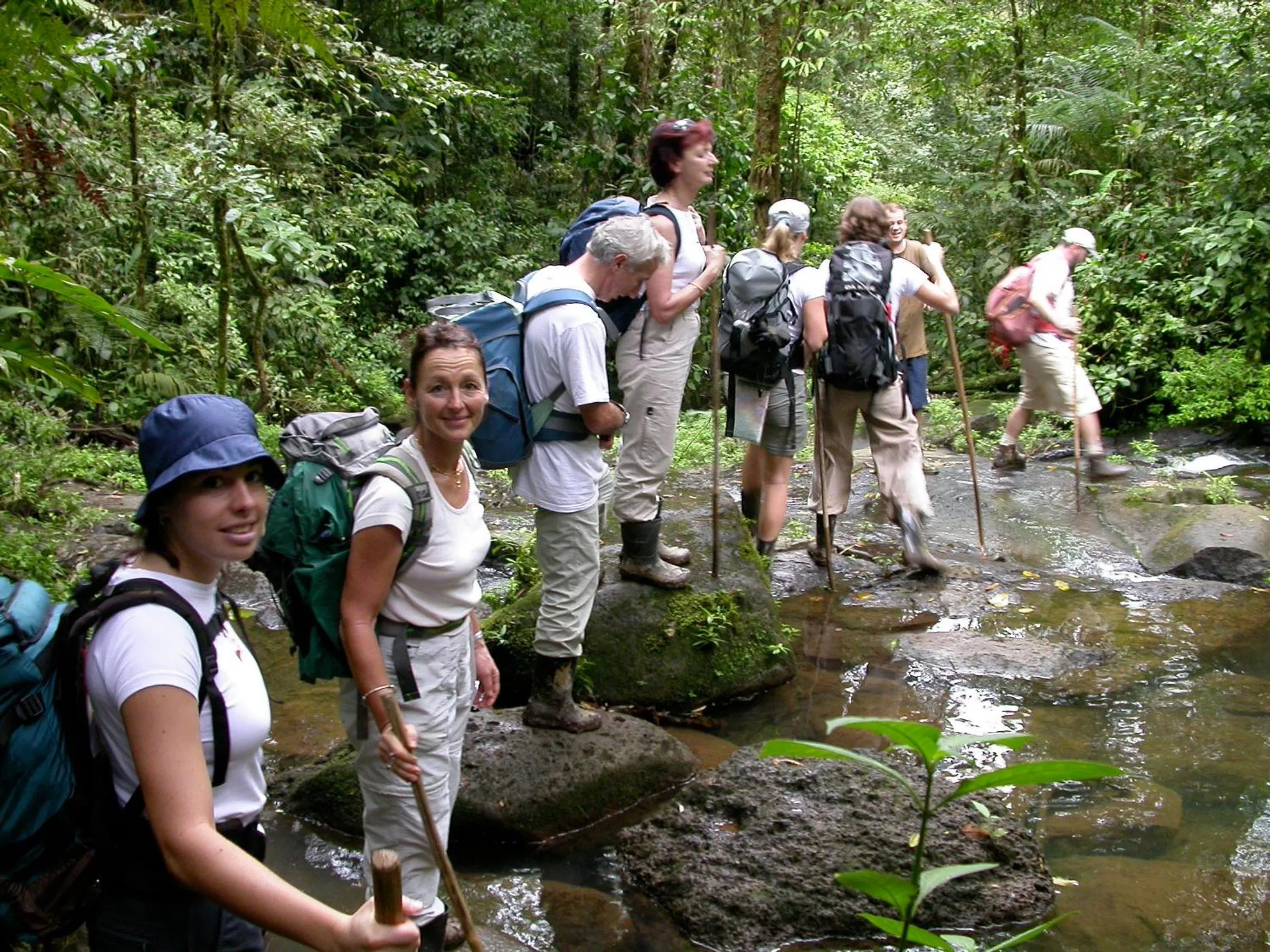 Hiking in Celeste Mountain Lodge