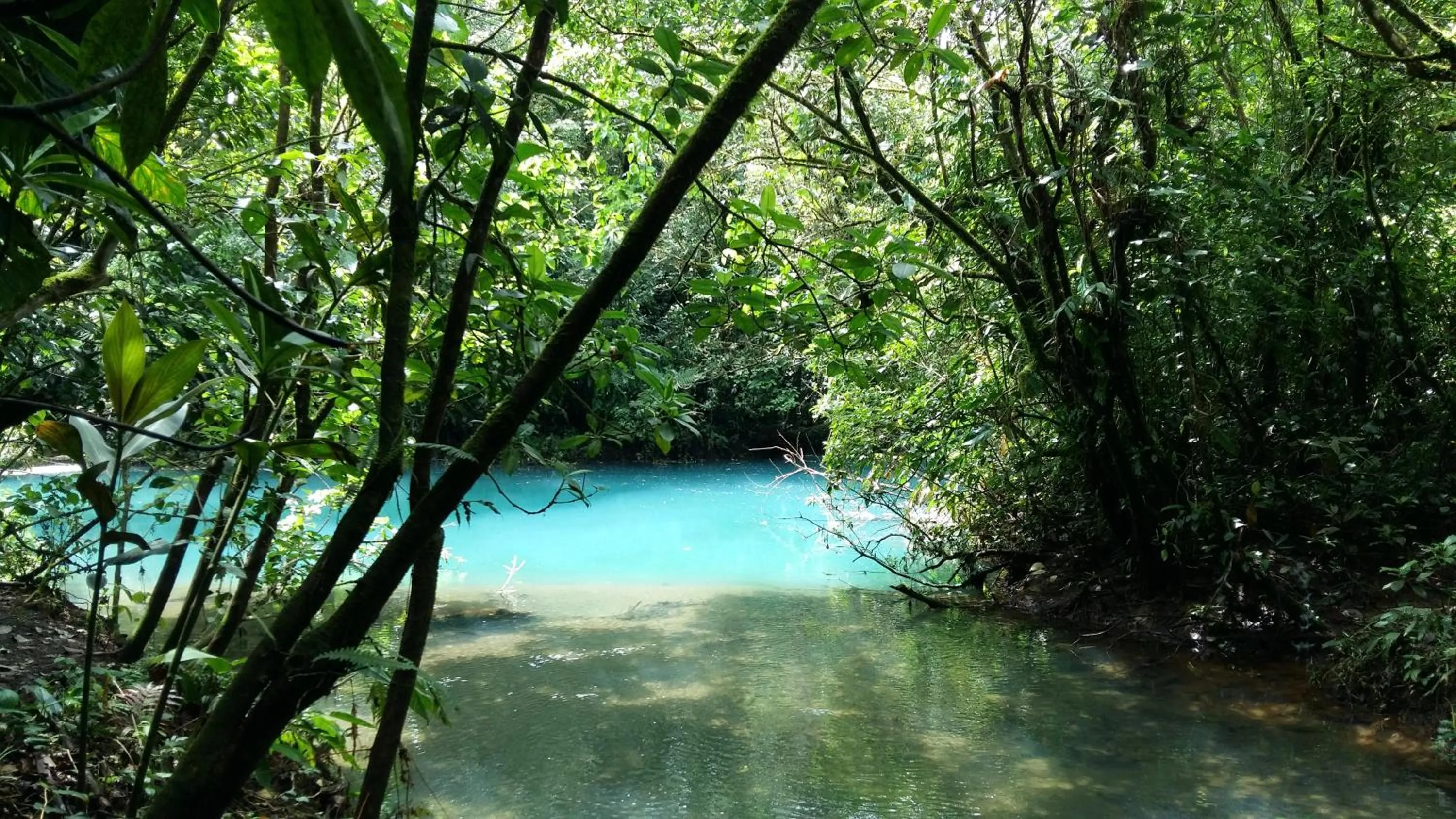 Natural landscape in Celeste Mountain Lodge