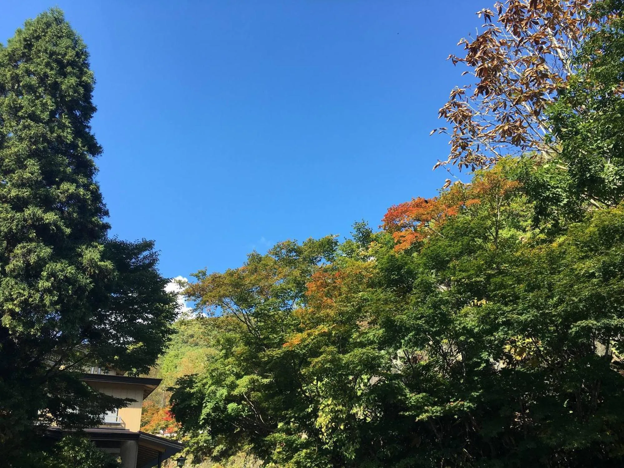 Takaragawa Onsen Ousenkaku