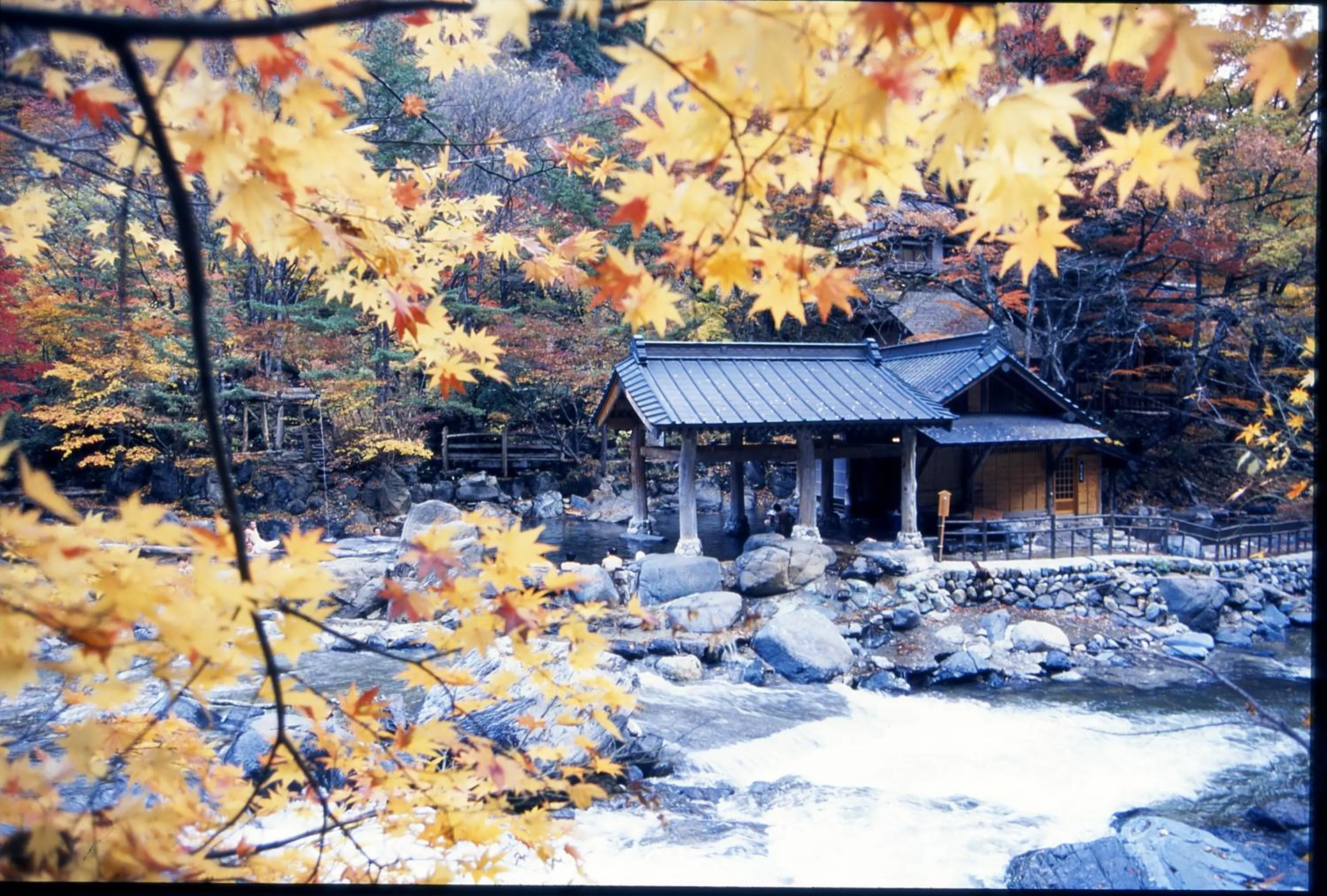 Hot Spring Bath in Takaragawa Onsen Ousenkaku