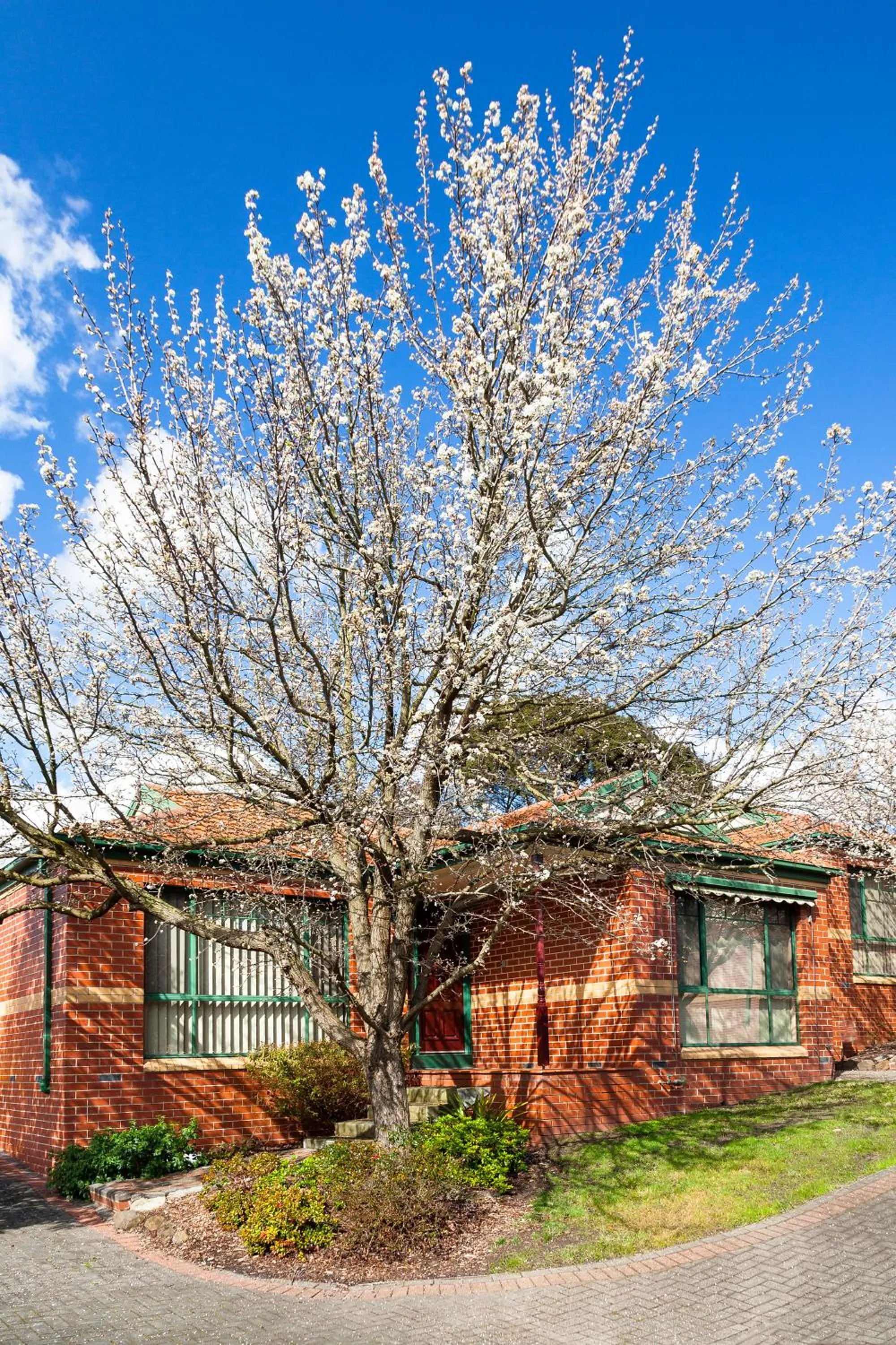 Garden in Mount Waverley Townhouses