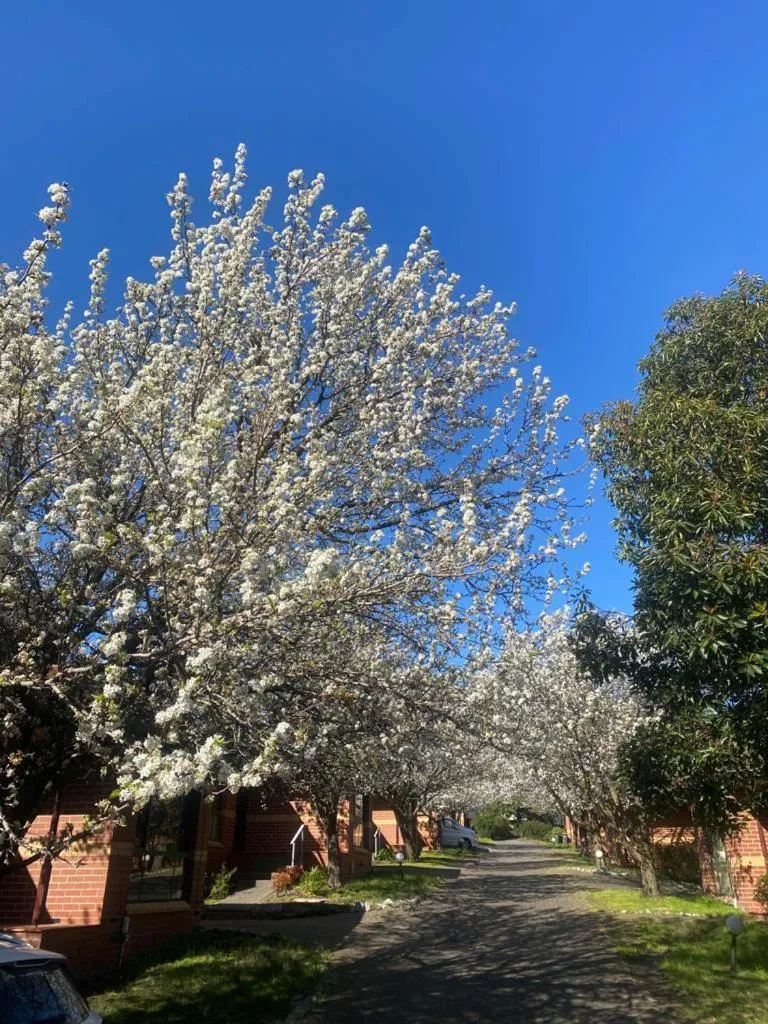 Mount Waverley Townhouses