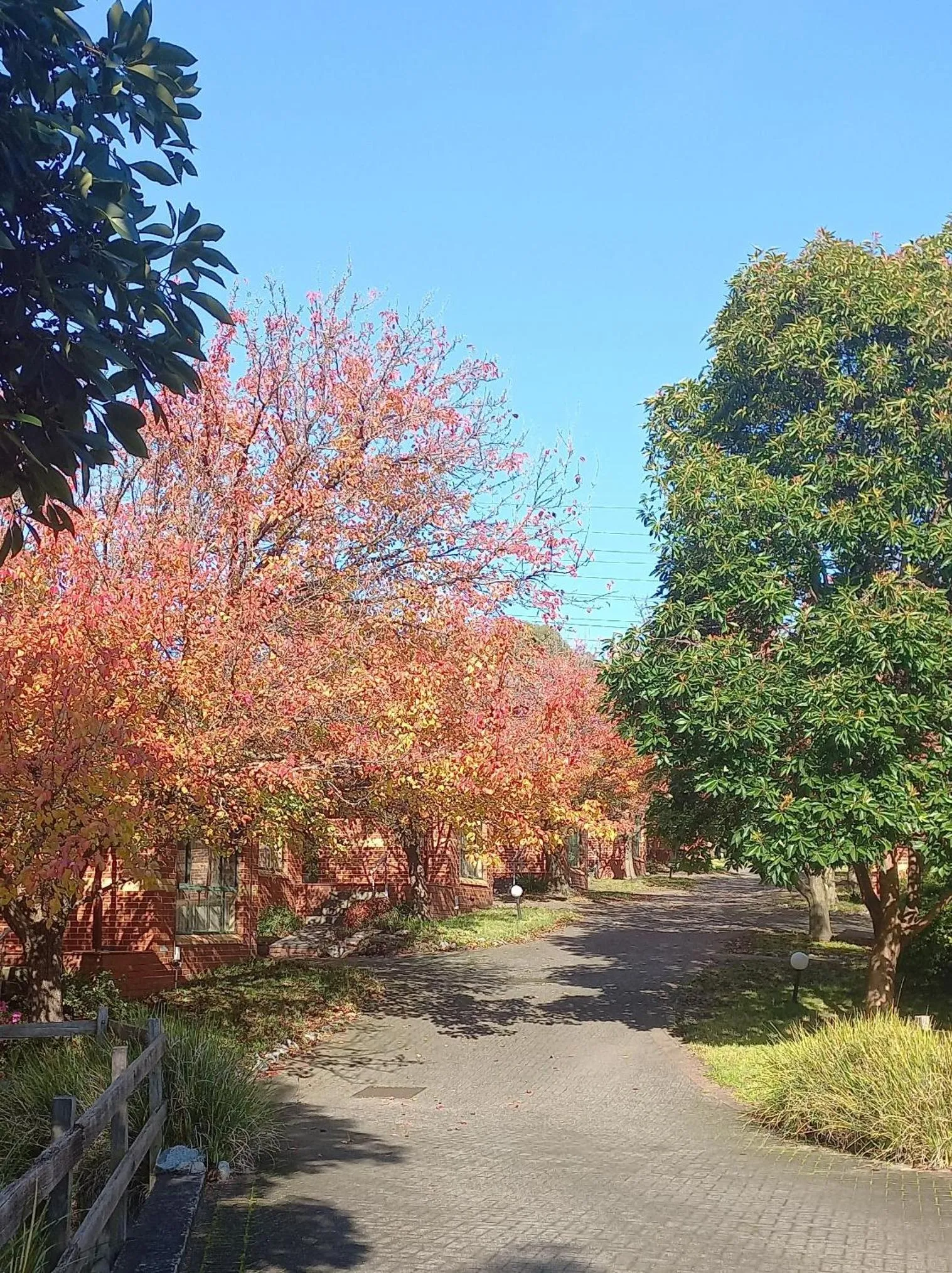 Mount Waverley Townhouses