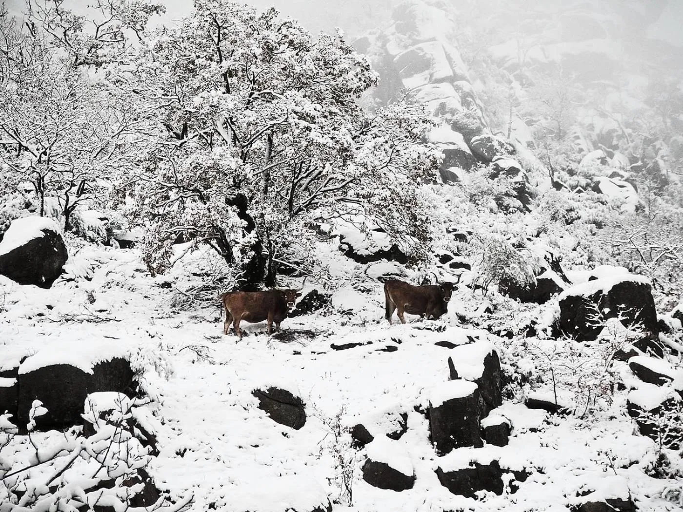 Natural landscape in Hotel Castrum Villae by Walk Hotels