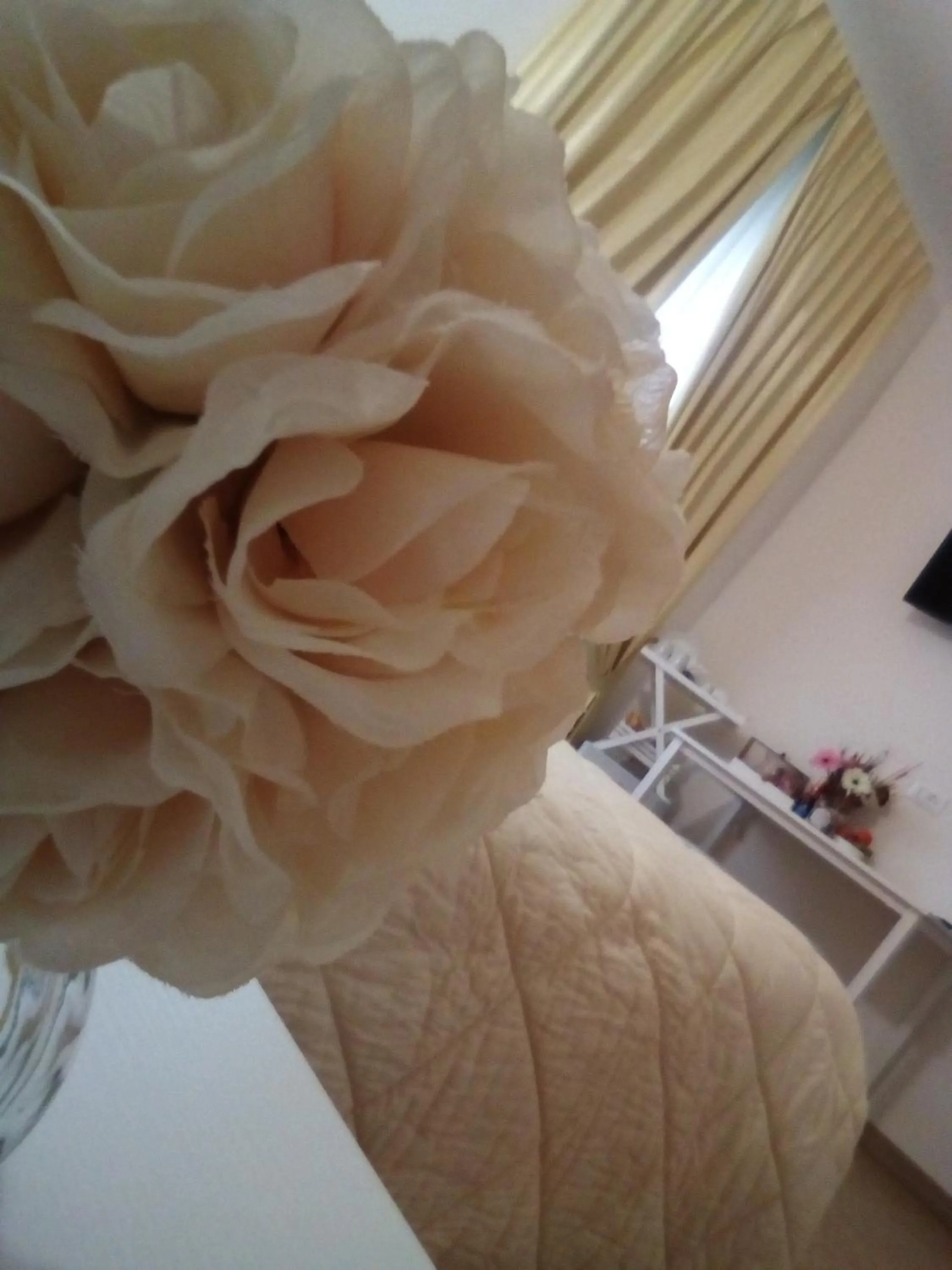 Officina Urban Sleep