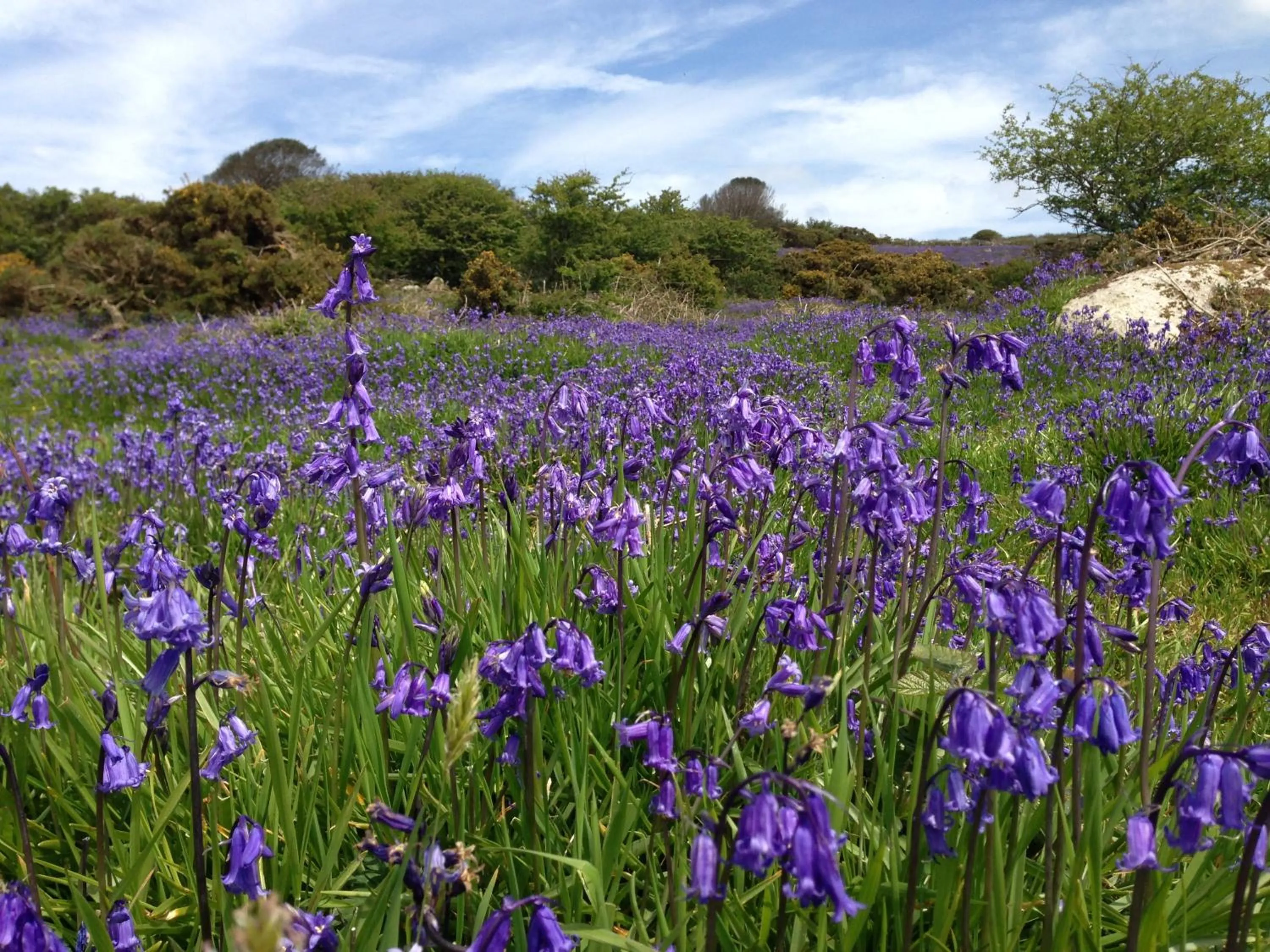 Property building in Lower Crankan Farm
