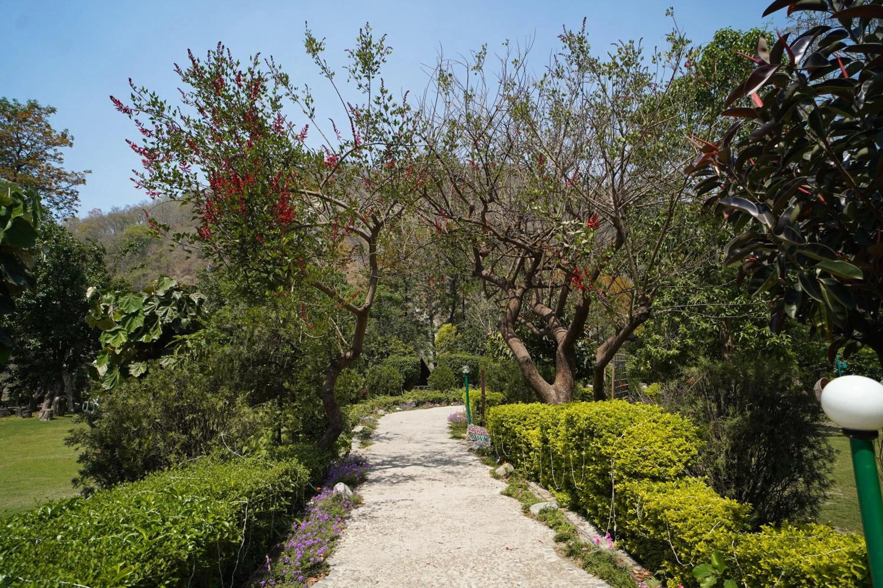 Natural landscape in The Solluna Resort