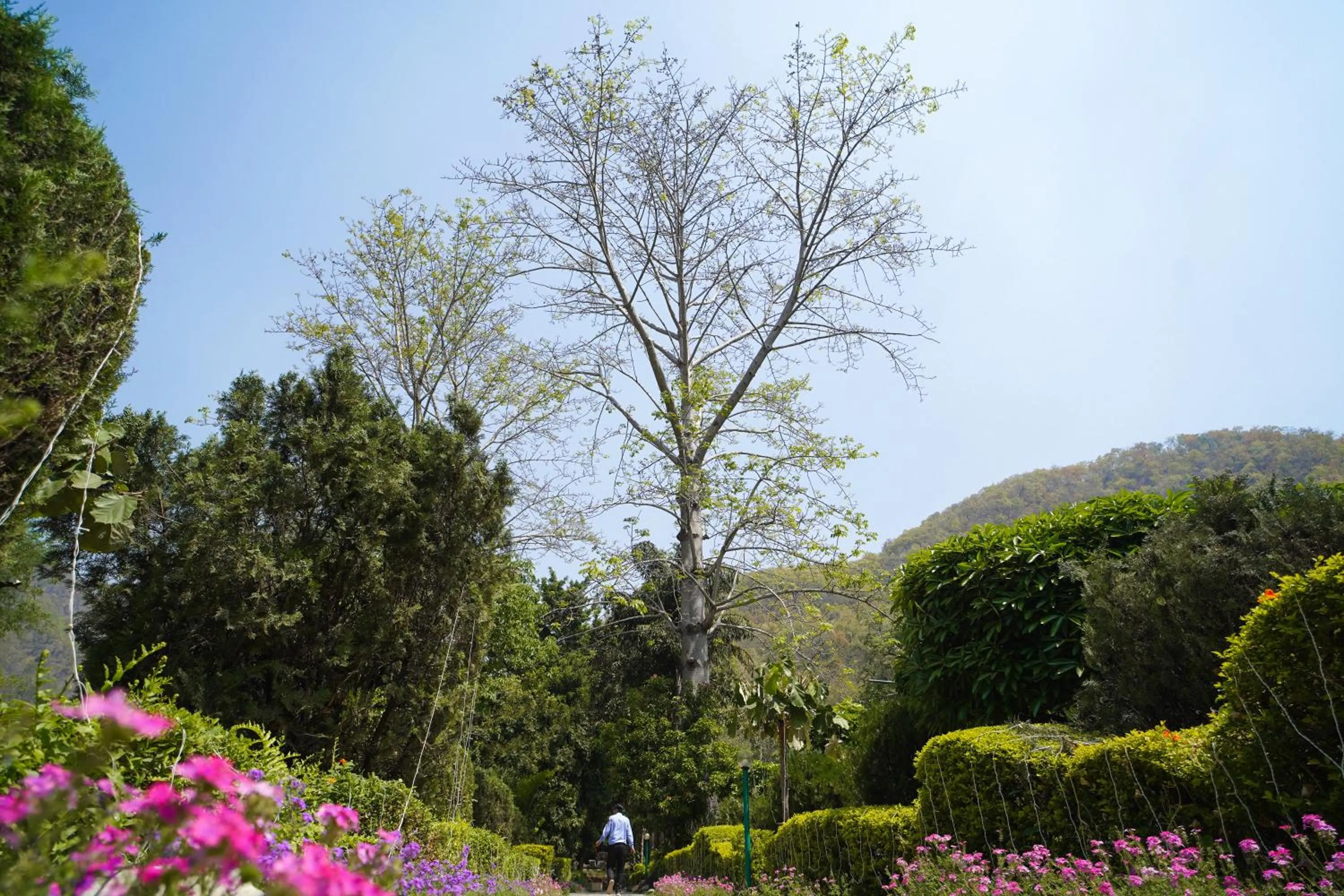 Natural landscape in The Solluna Resort