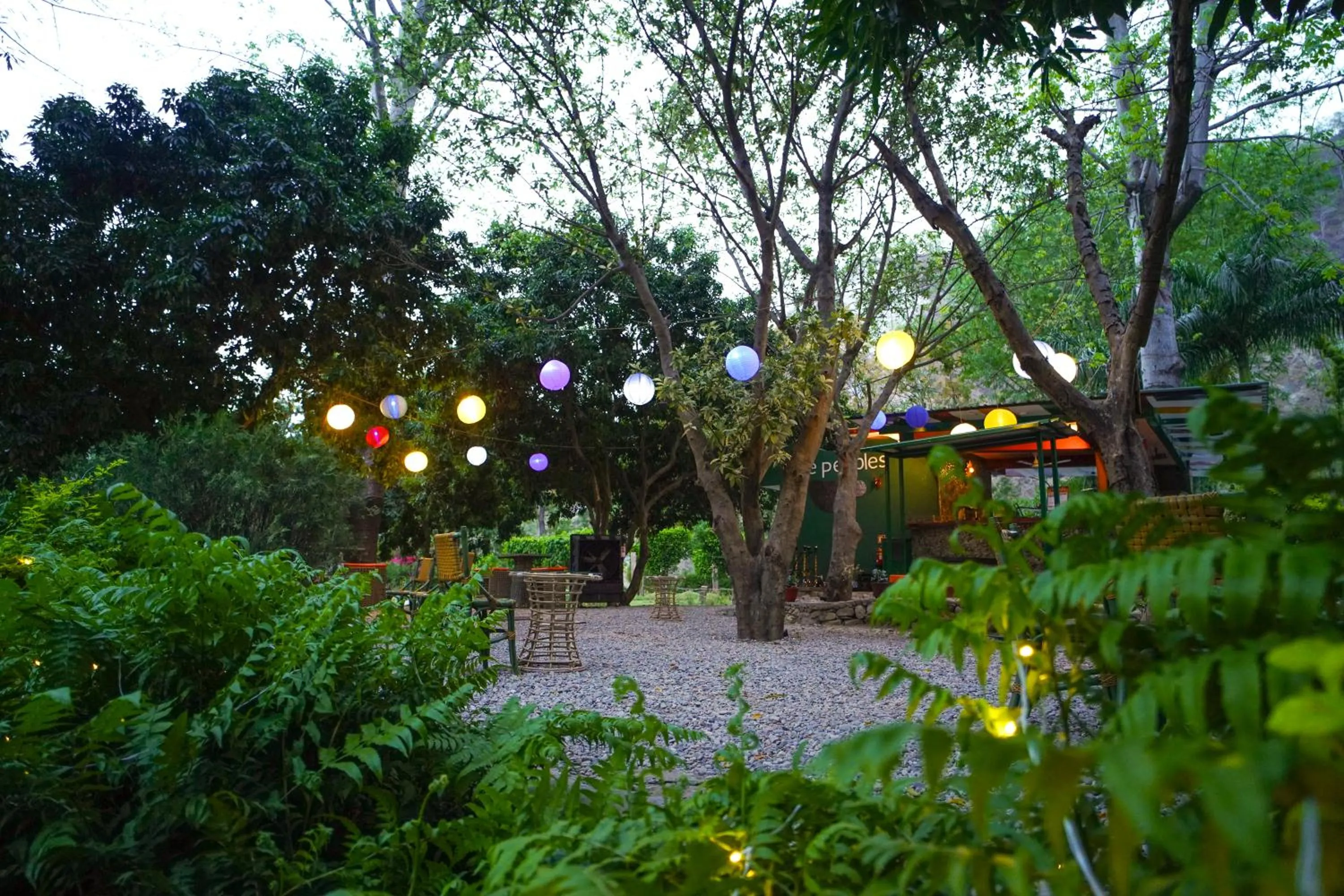 Restaurant/places to eat in The Solluna Resort