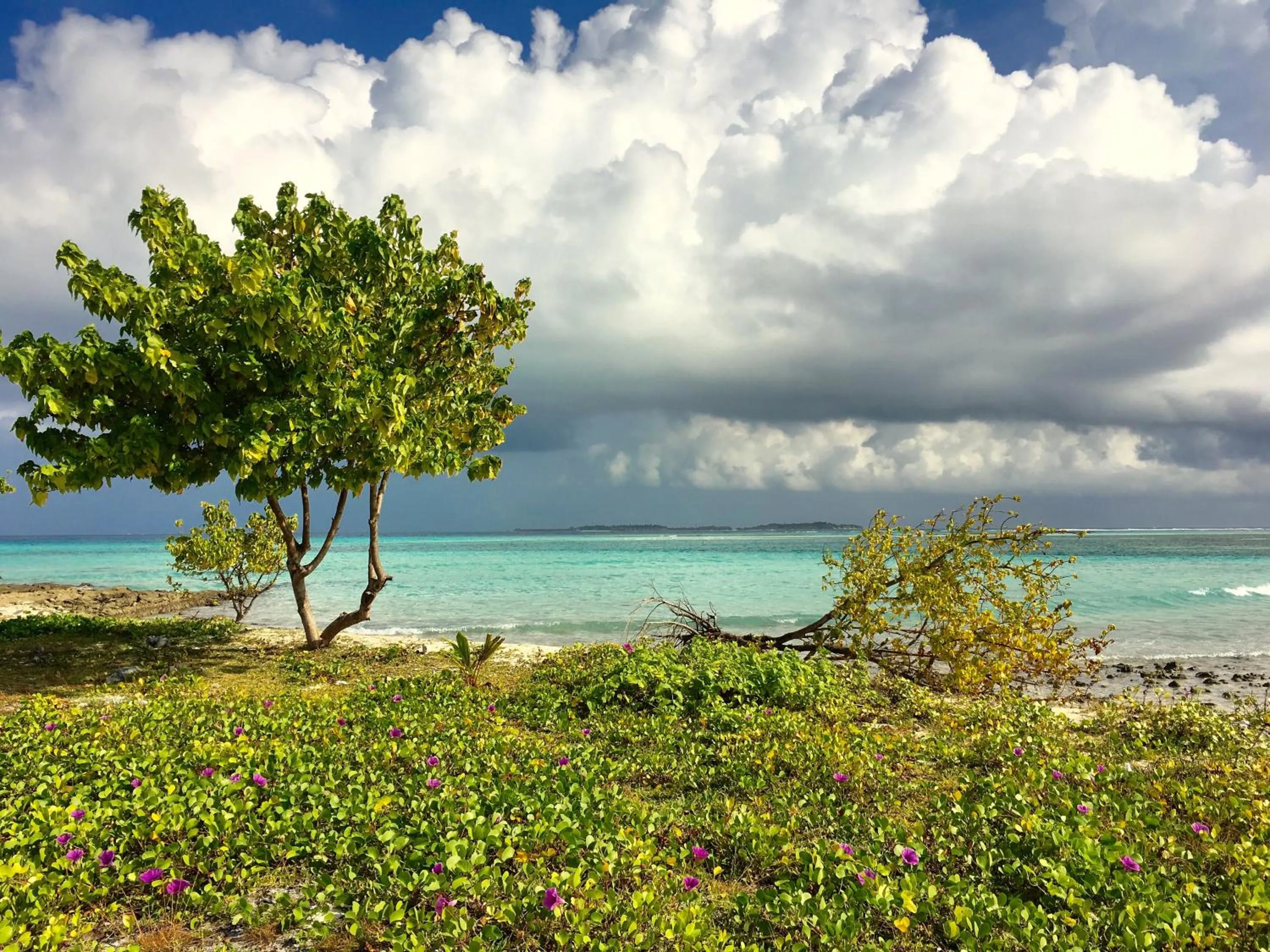 Natural landscape in Faza View Inn, Maafushi