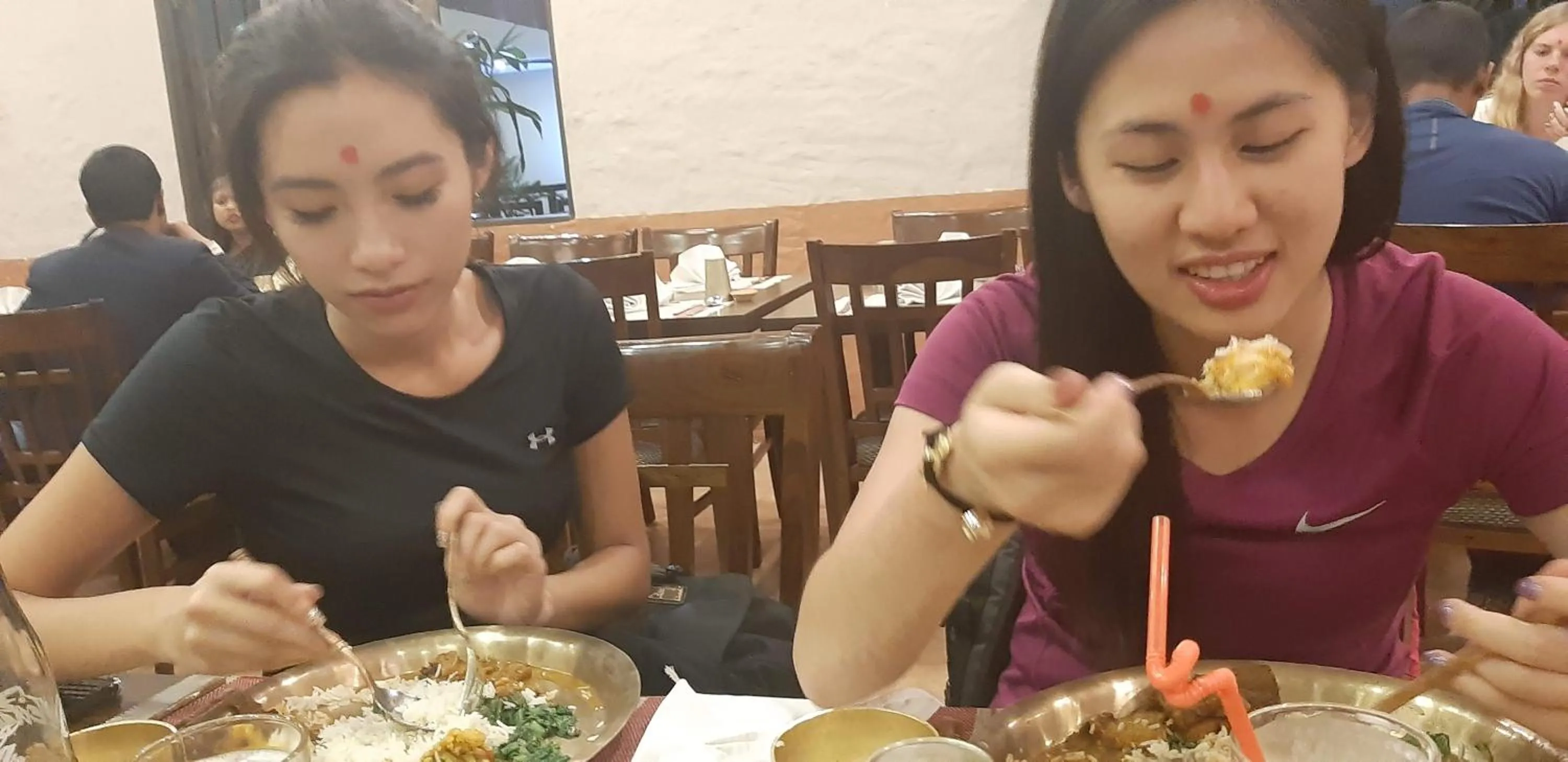 Restaurant/places to eat in Hotel Nepalaya