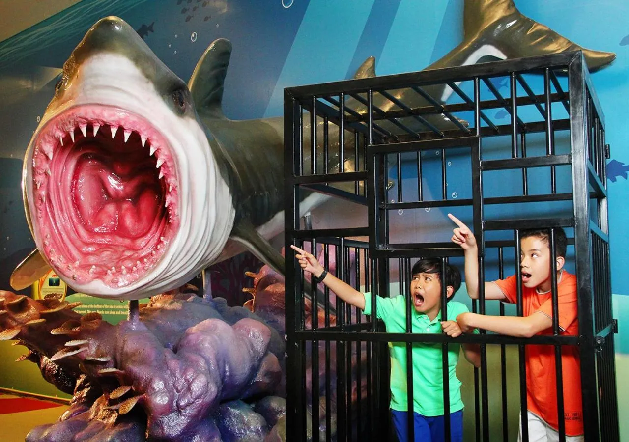 Entertainment in The Trans Luxury Hotel Bandung