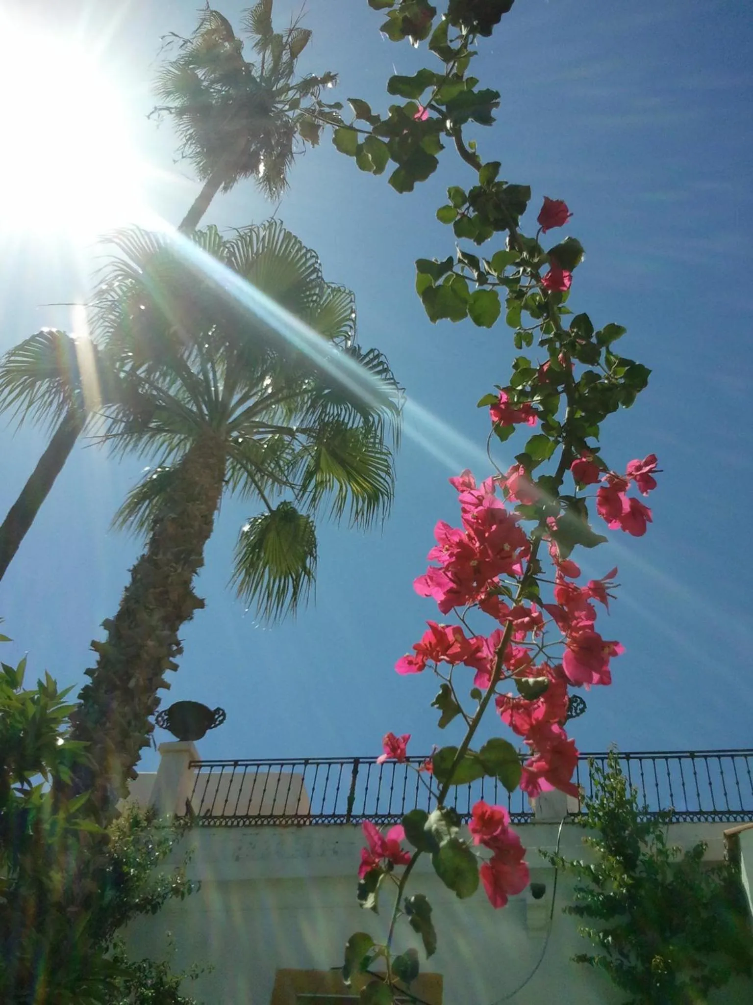 Garden in Hotel Sao Joao De Deus by RIDAN Hotels