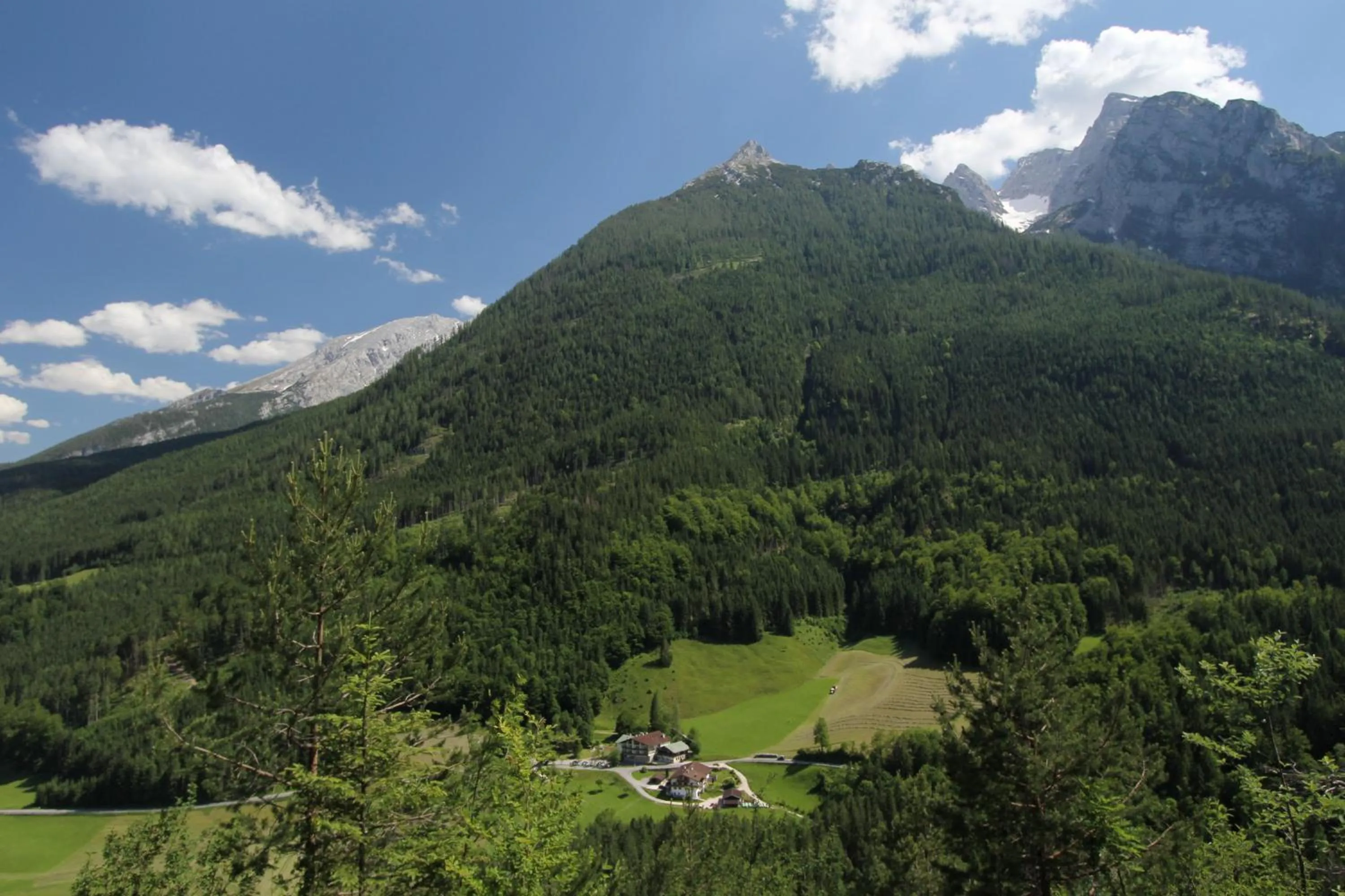 Natural landscape in Alpenhotel Beslhof