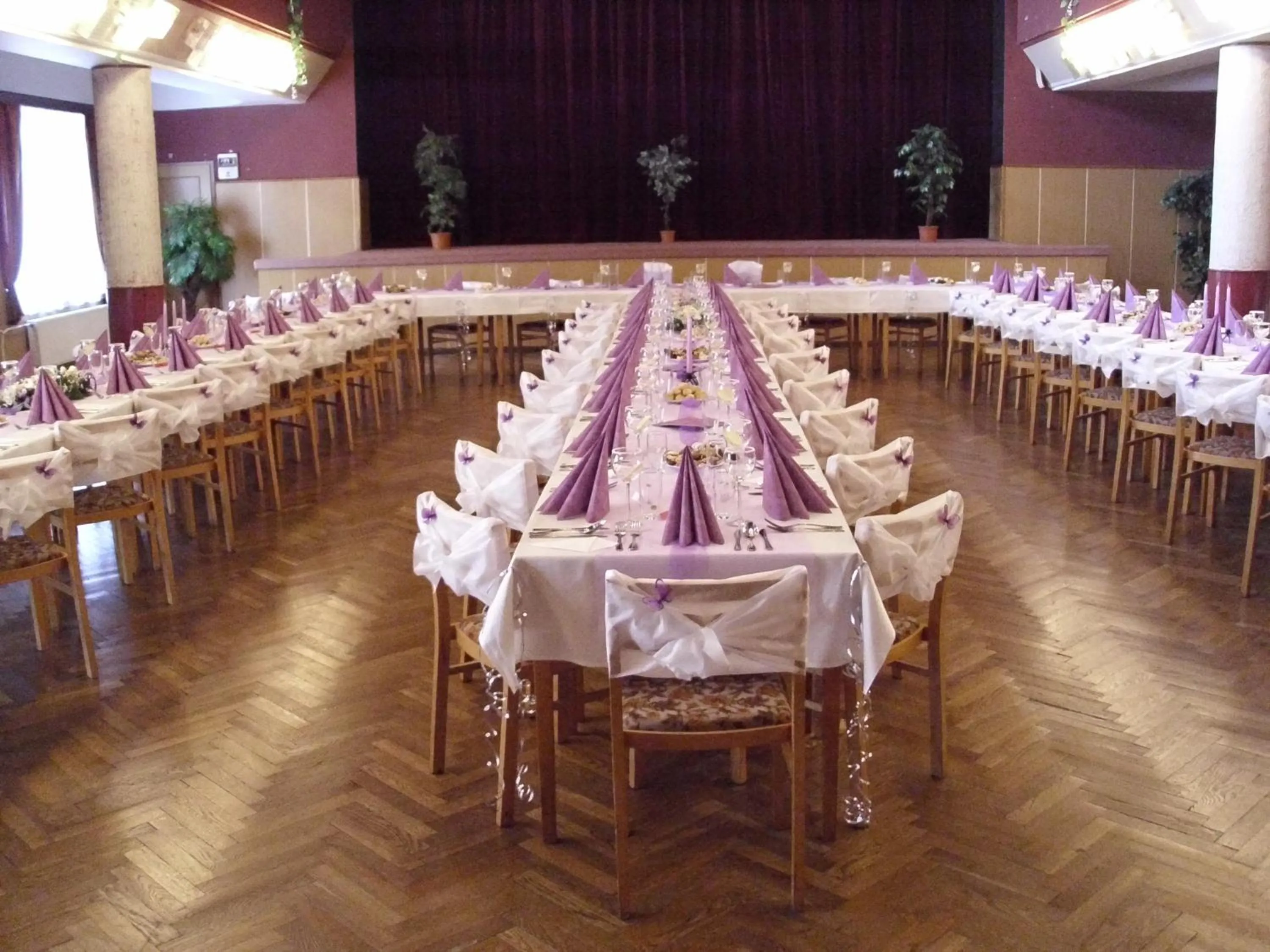 Business facilities in Hotel Morava