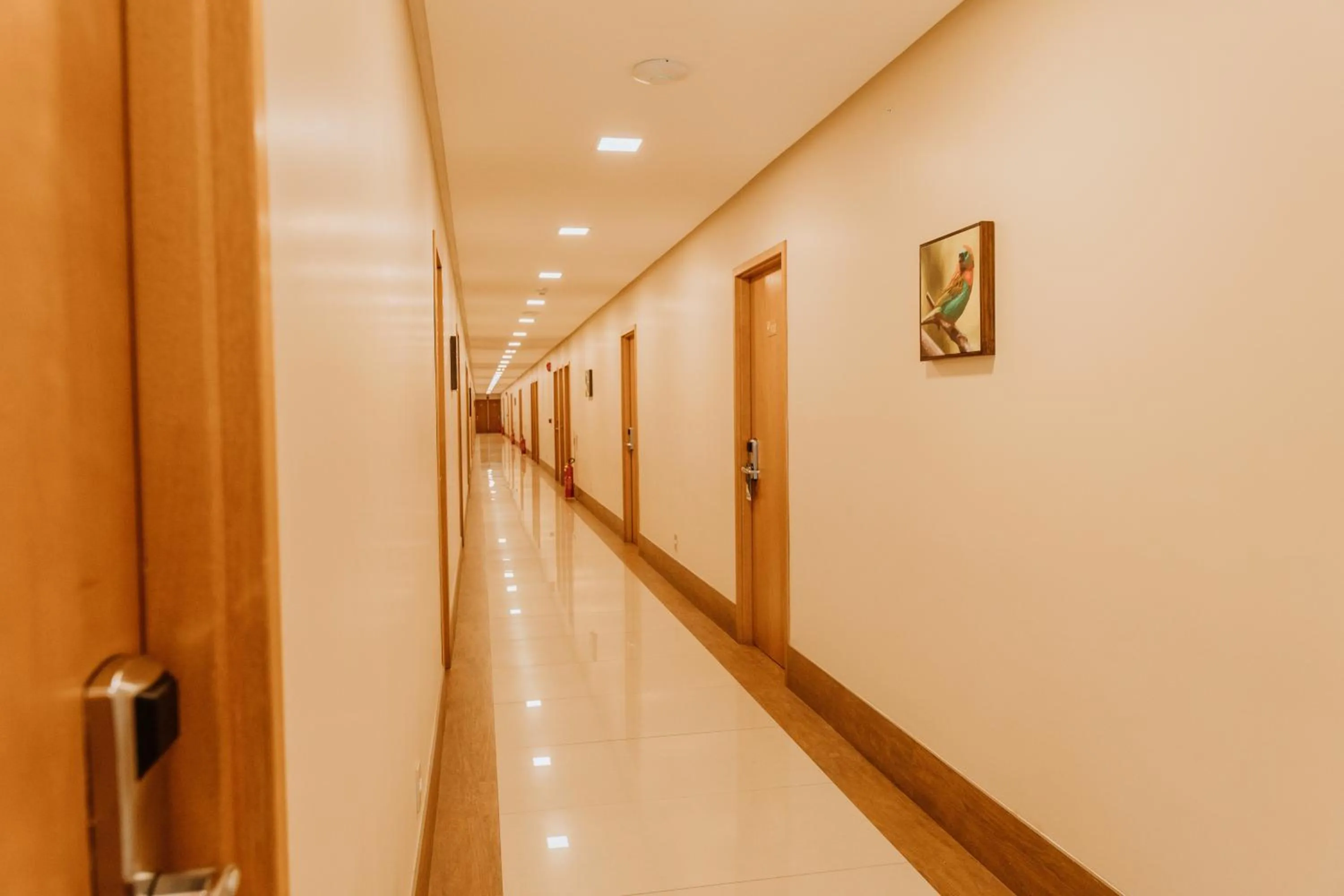 Lobby or reception in Hotel do Sertão