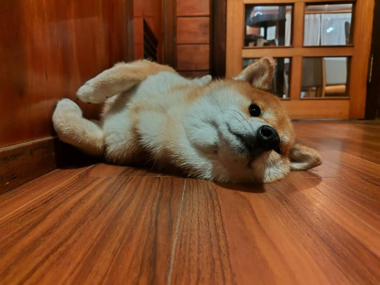 Yamagata Zao Pension Apron Stage