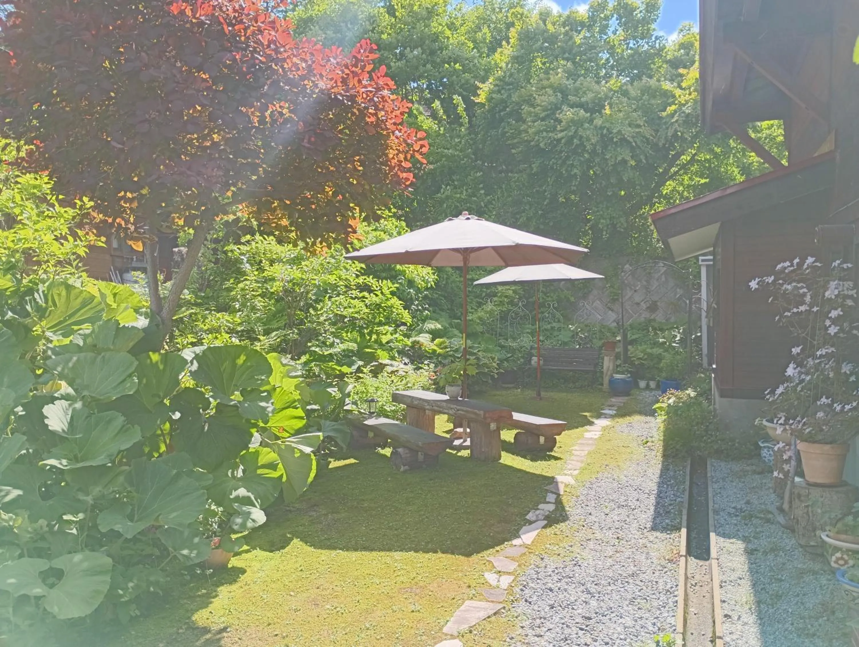 Garden view in Yamagata Zao Pension Apron Stage
