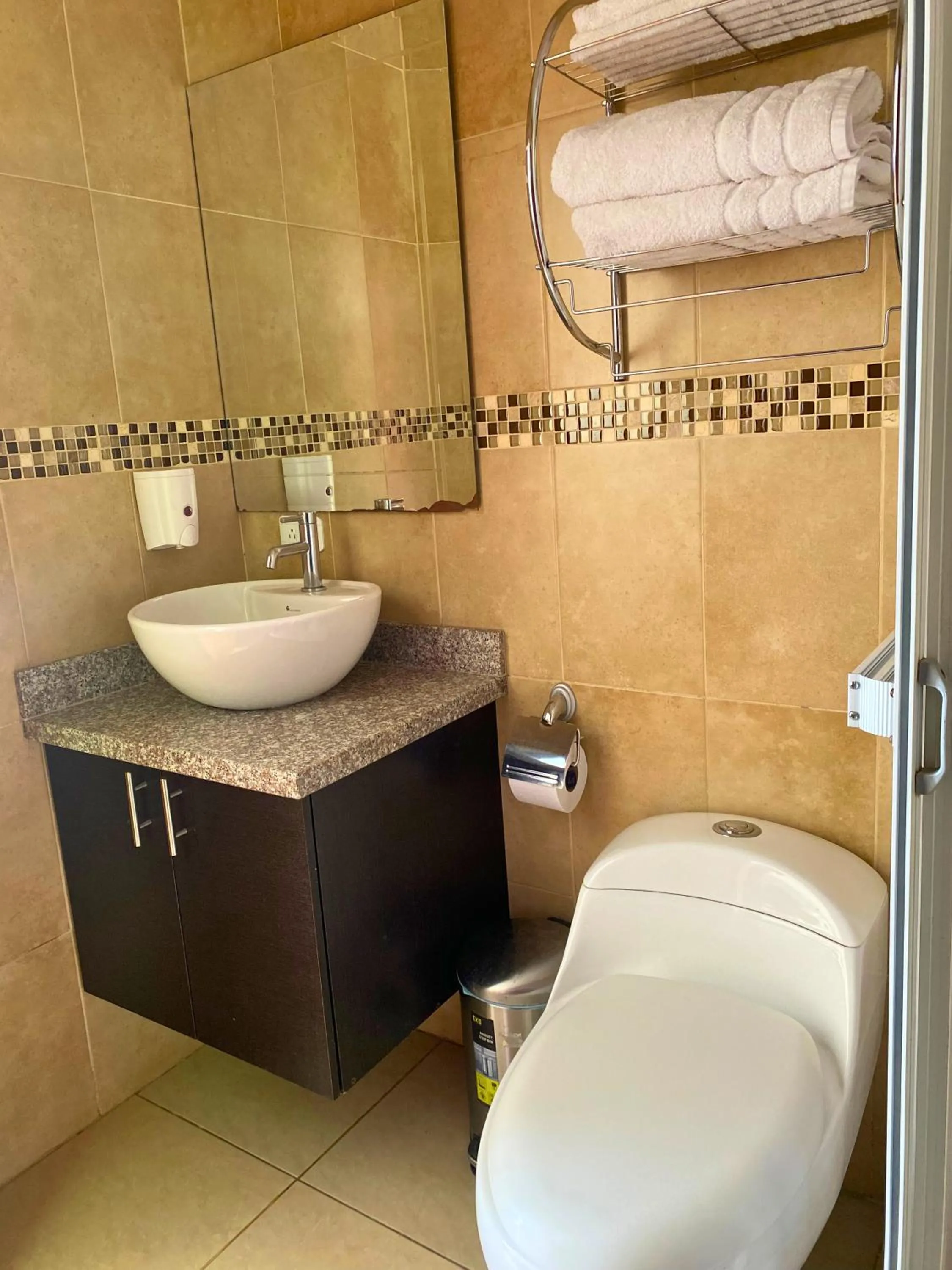 Shower in Las Hortensia's Casa De Huespedes