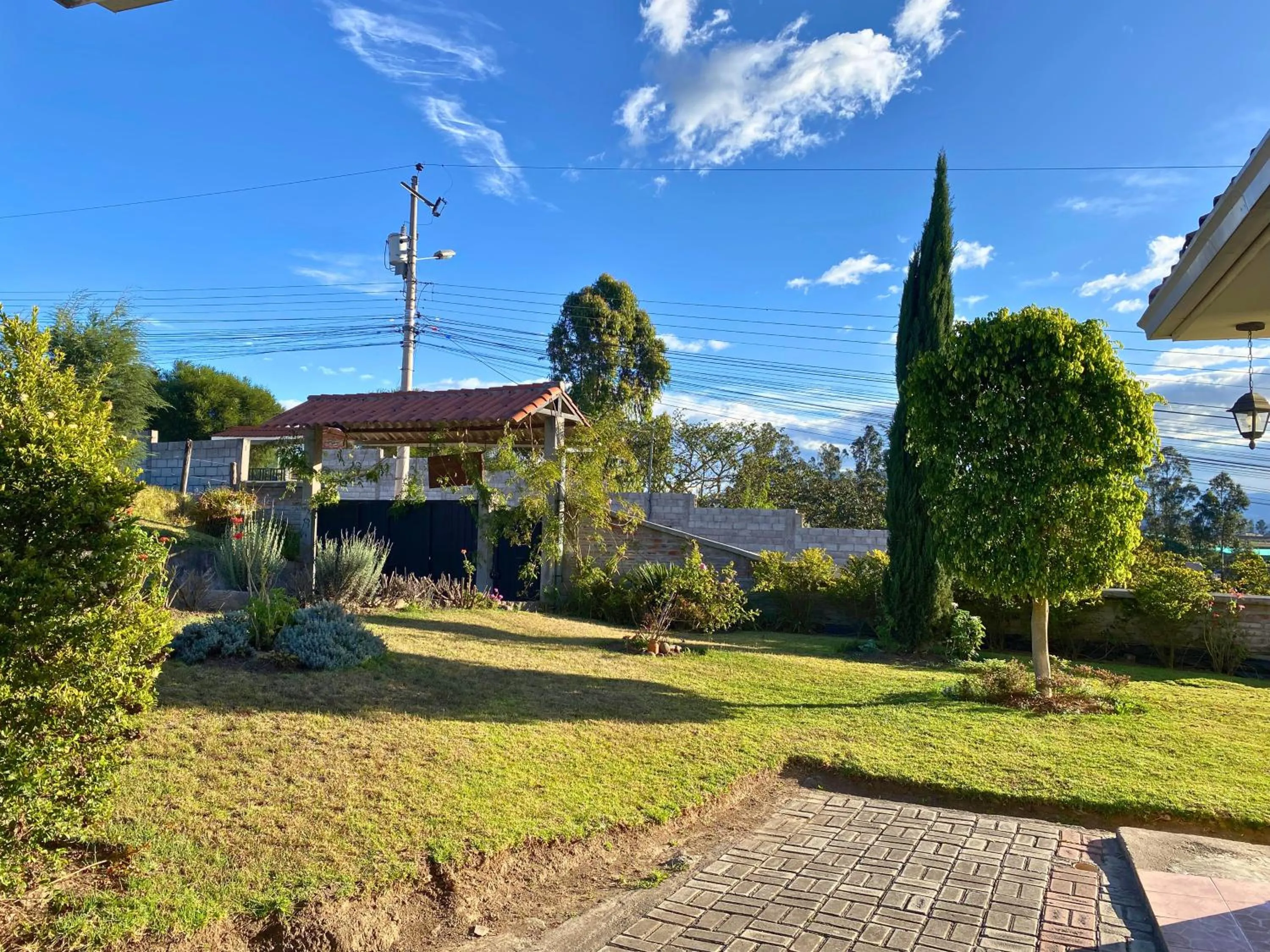 Garden in Las Hortensia's Casa De Huespedes