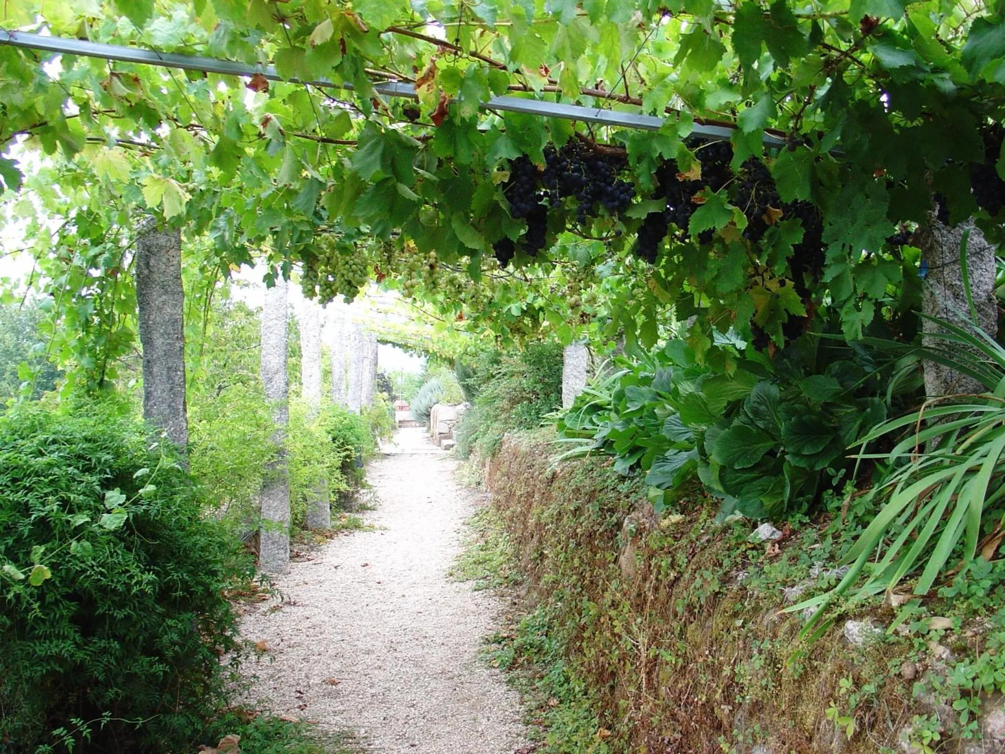 Garden in Hotel Convento dos Capuchos
