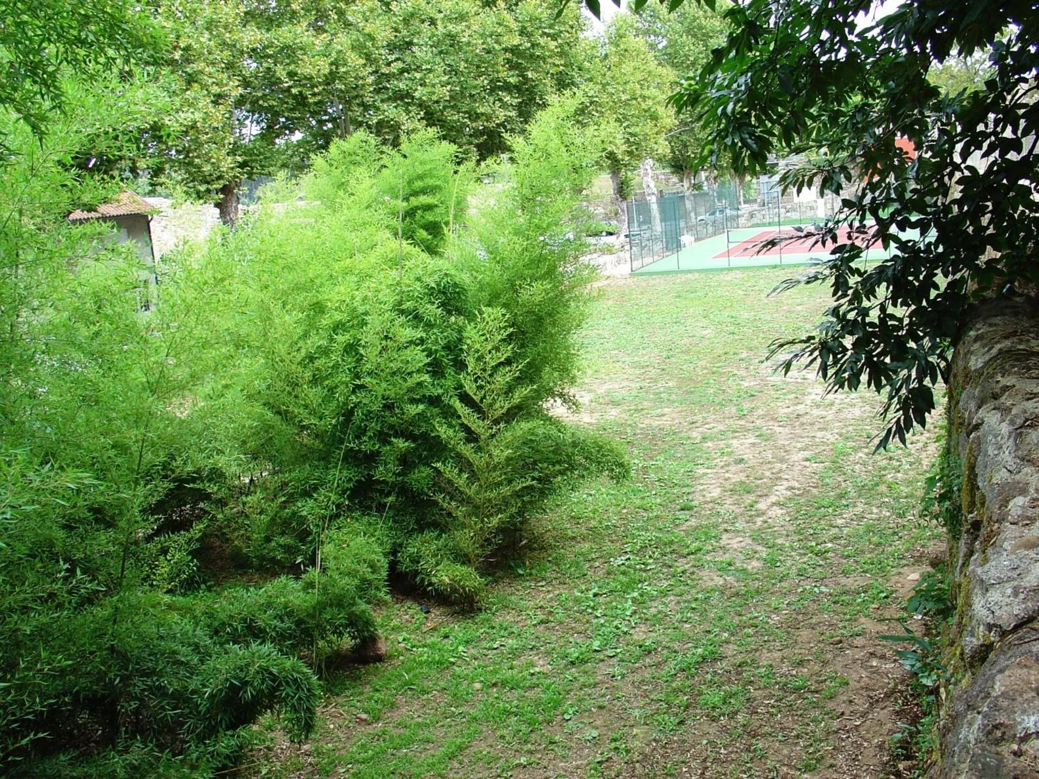 Area and facilities in Hotel Convento dos Capuchos