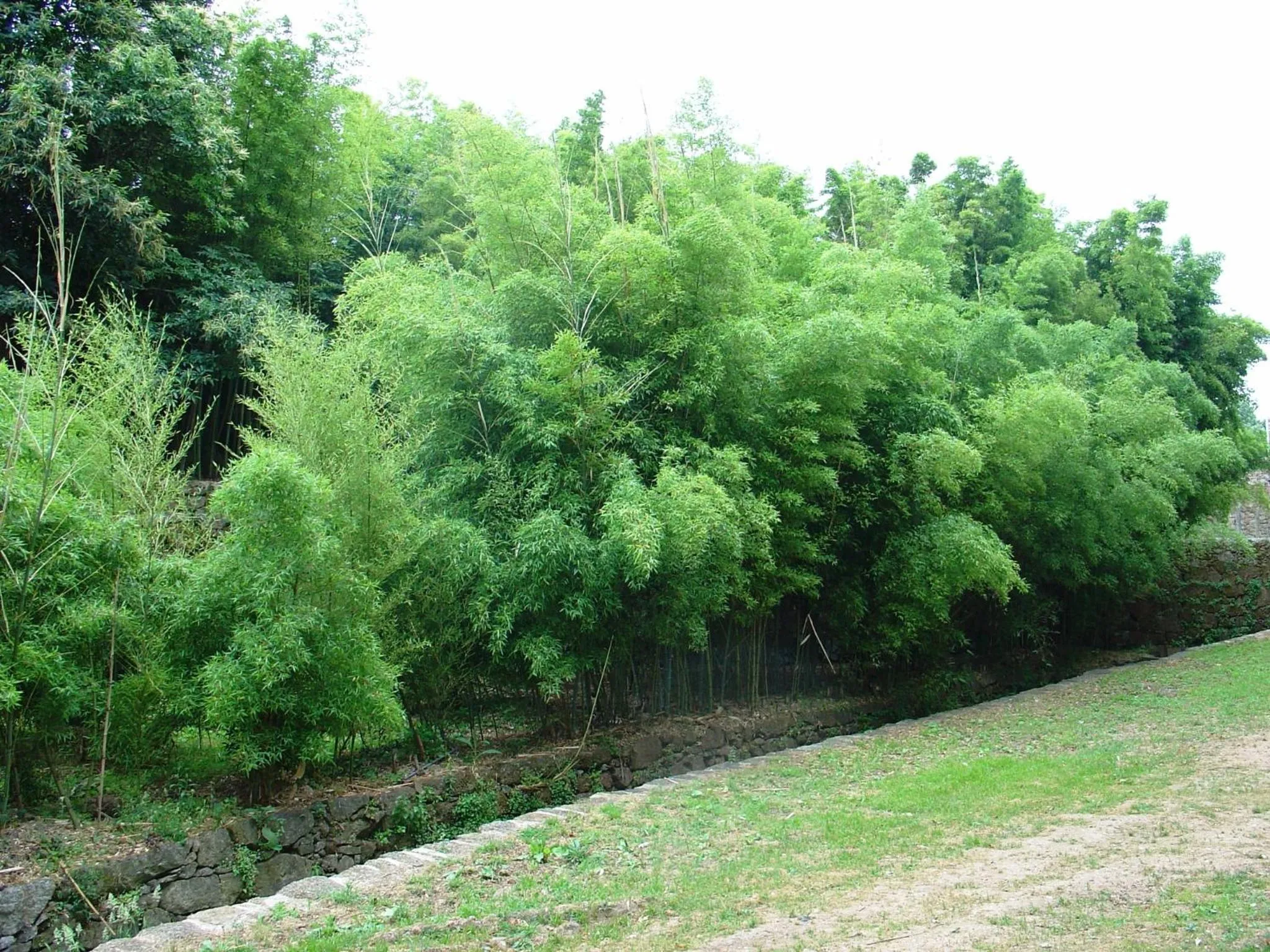 Area and facilities in Hotel Convento dos Capuchos