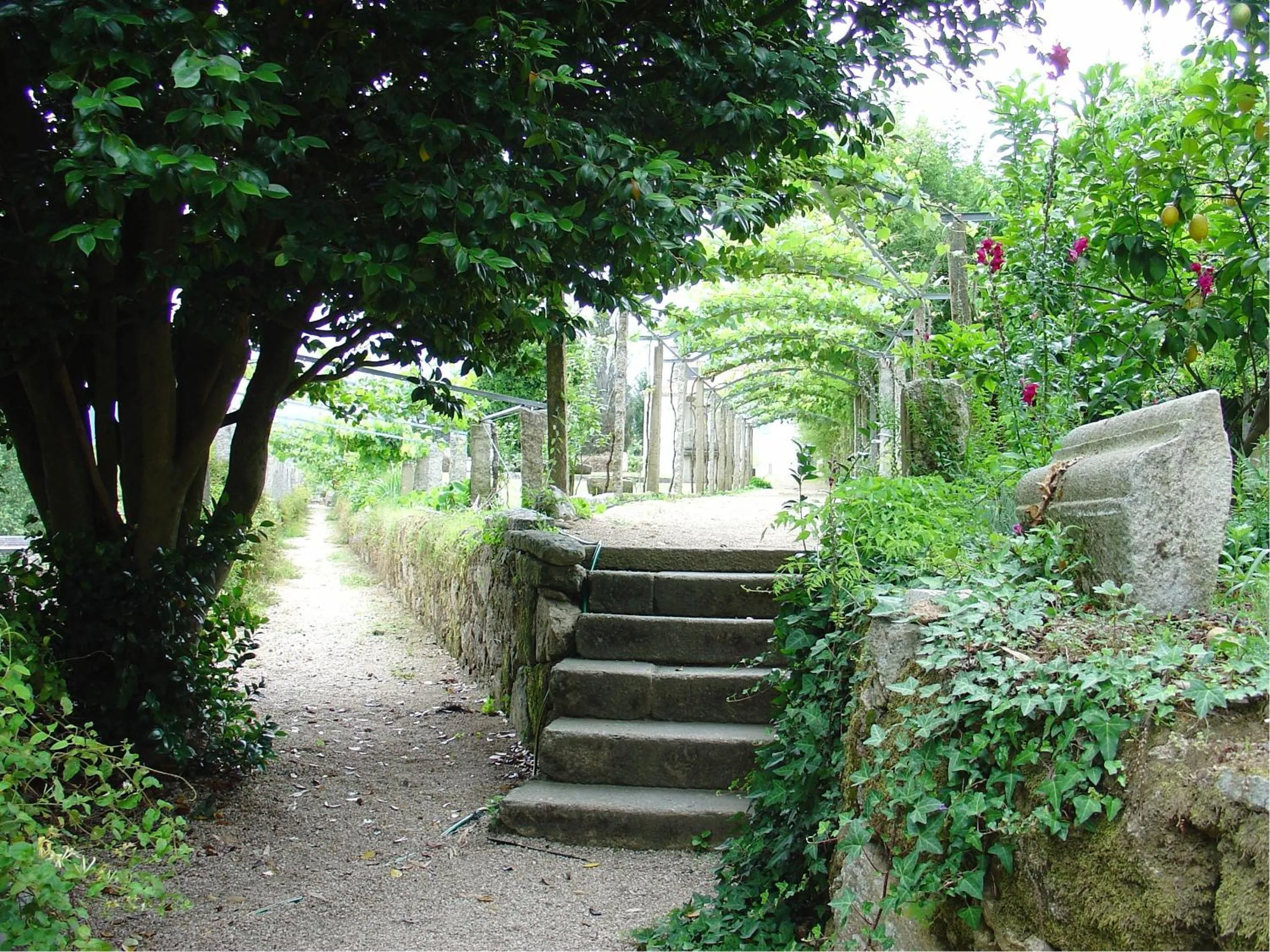 Garden in Hotel Convento dos Capuchos