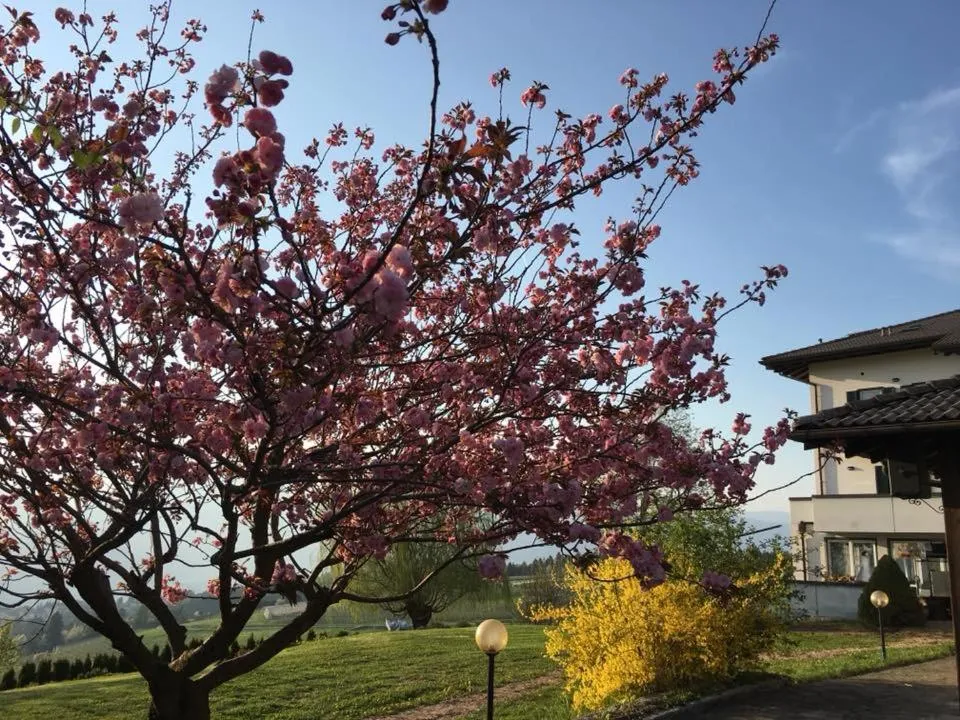 Garden in Hotel Antica Torre