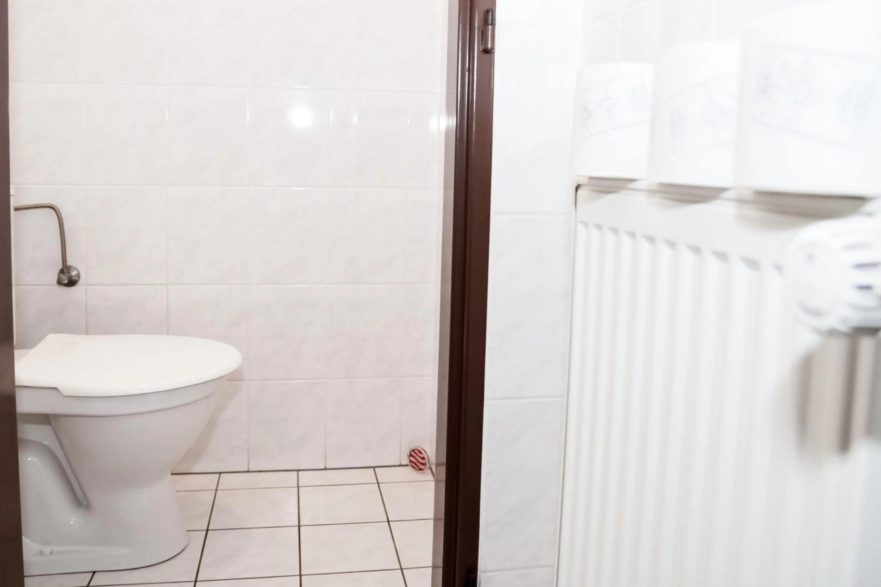 Toilet in Turisticka ubytovna Cakle