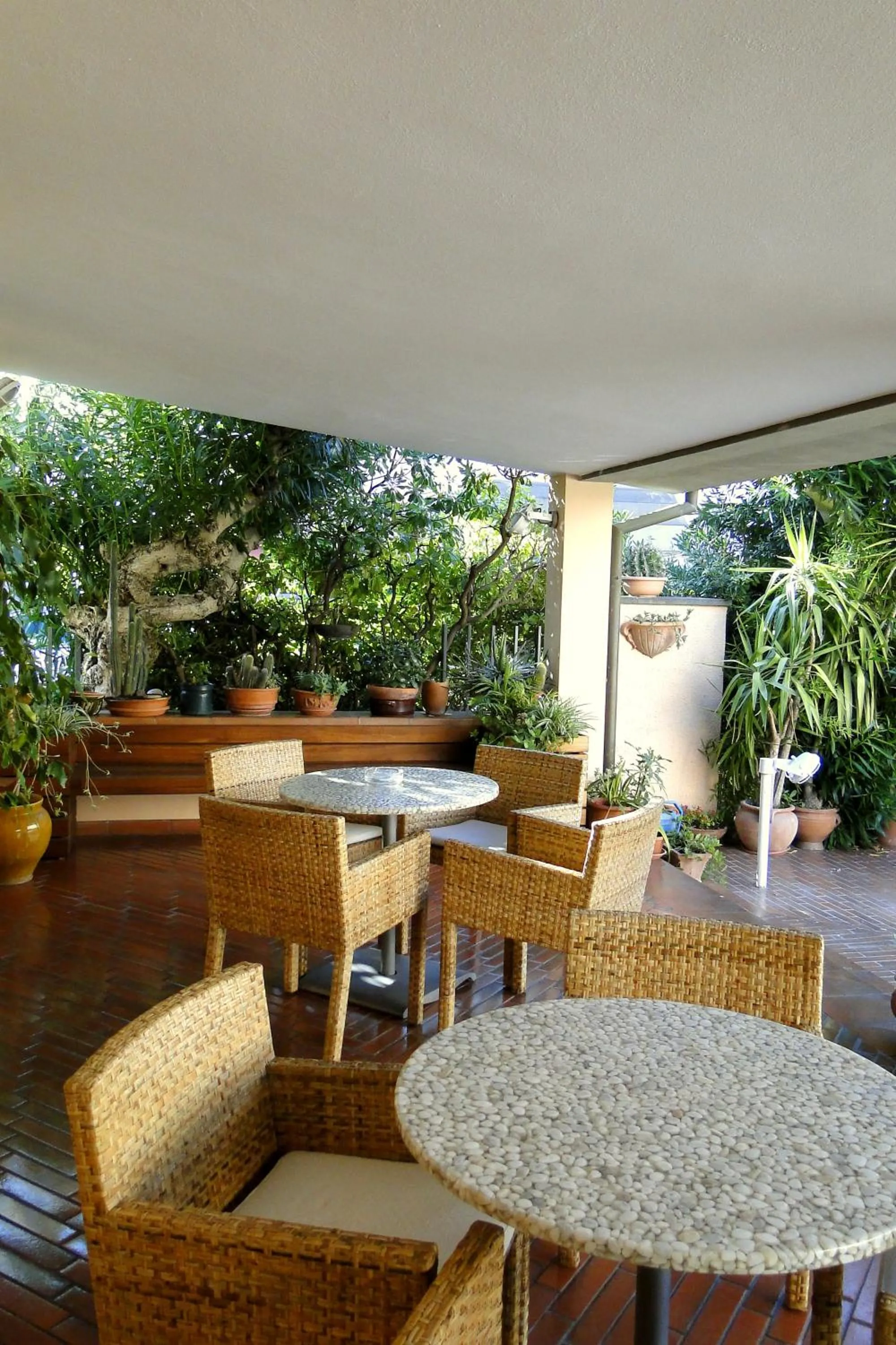 Garden in Hotel Sabrina