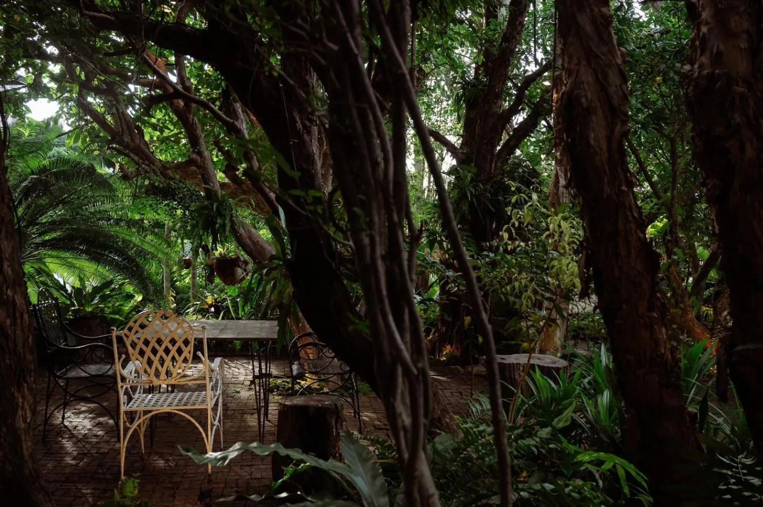 Garden in IP Plus Pool Villa Pattaya