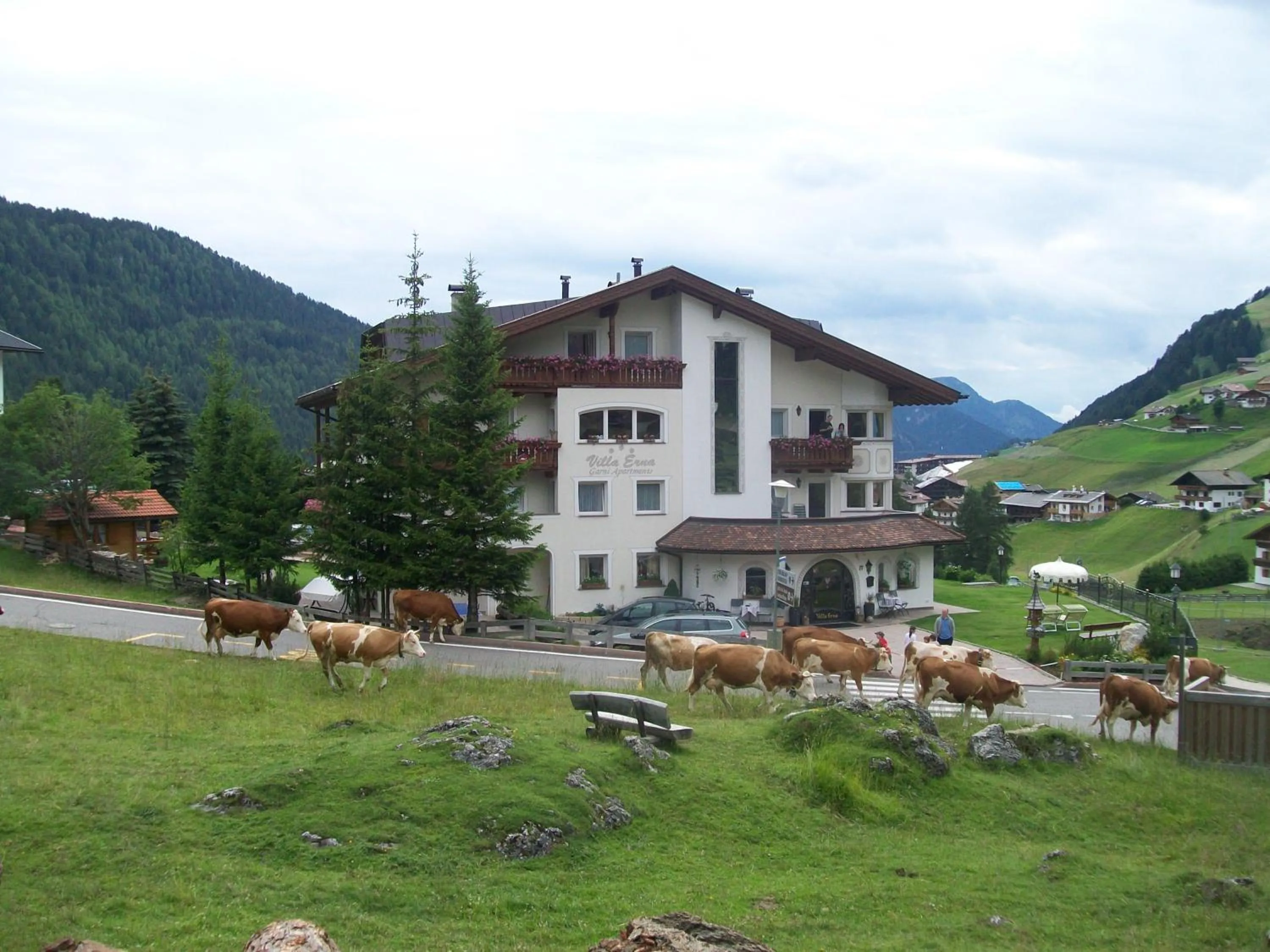 Property building in Garnì Villa Erna