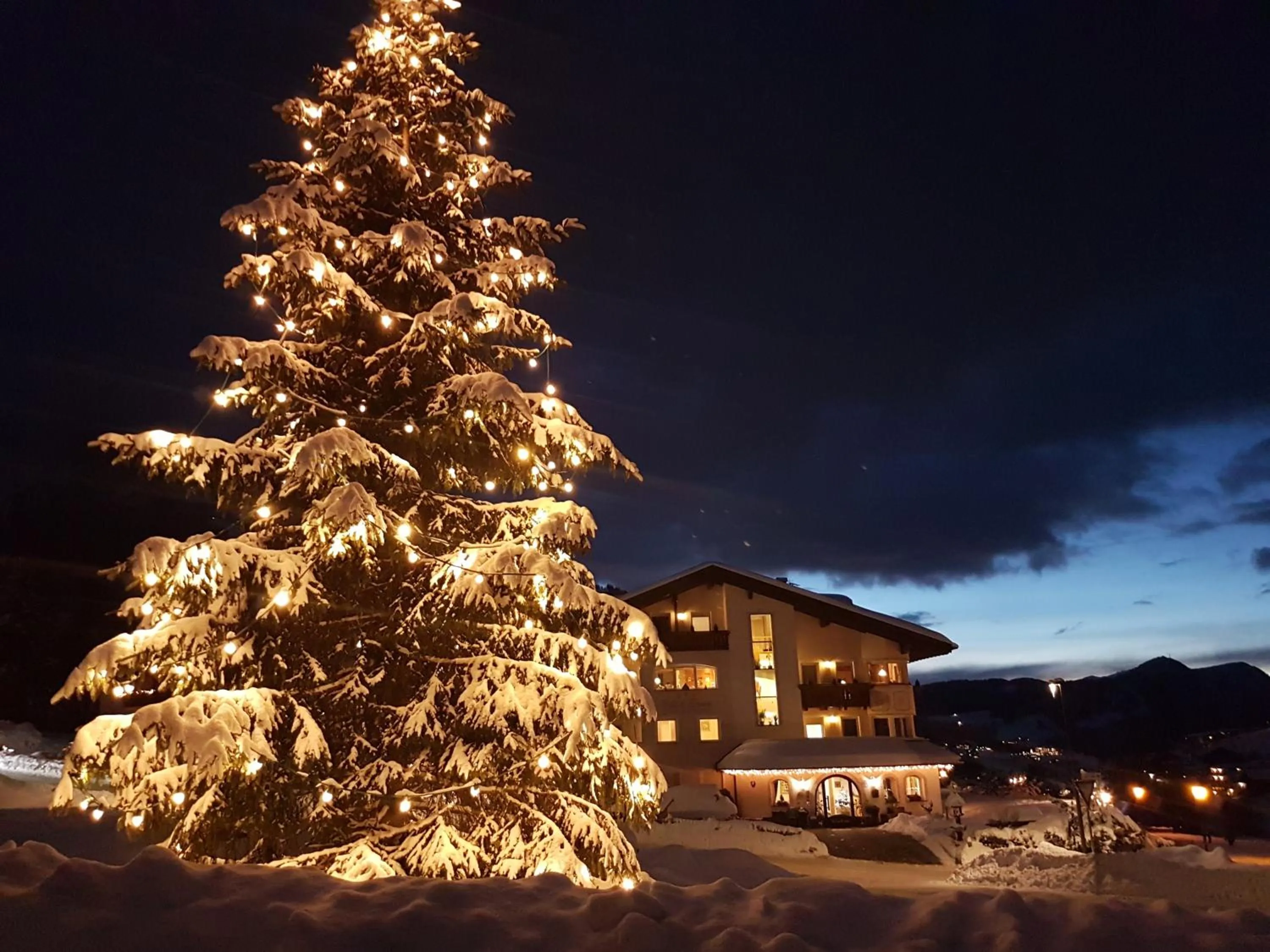 Neighbourhood in Garnì Villa Erna