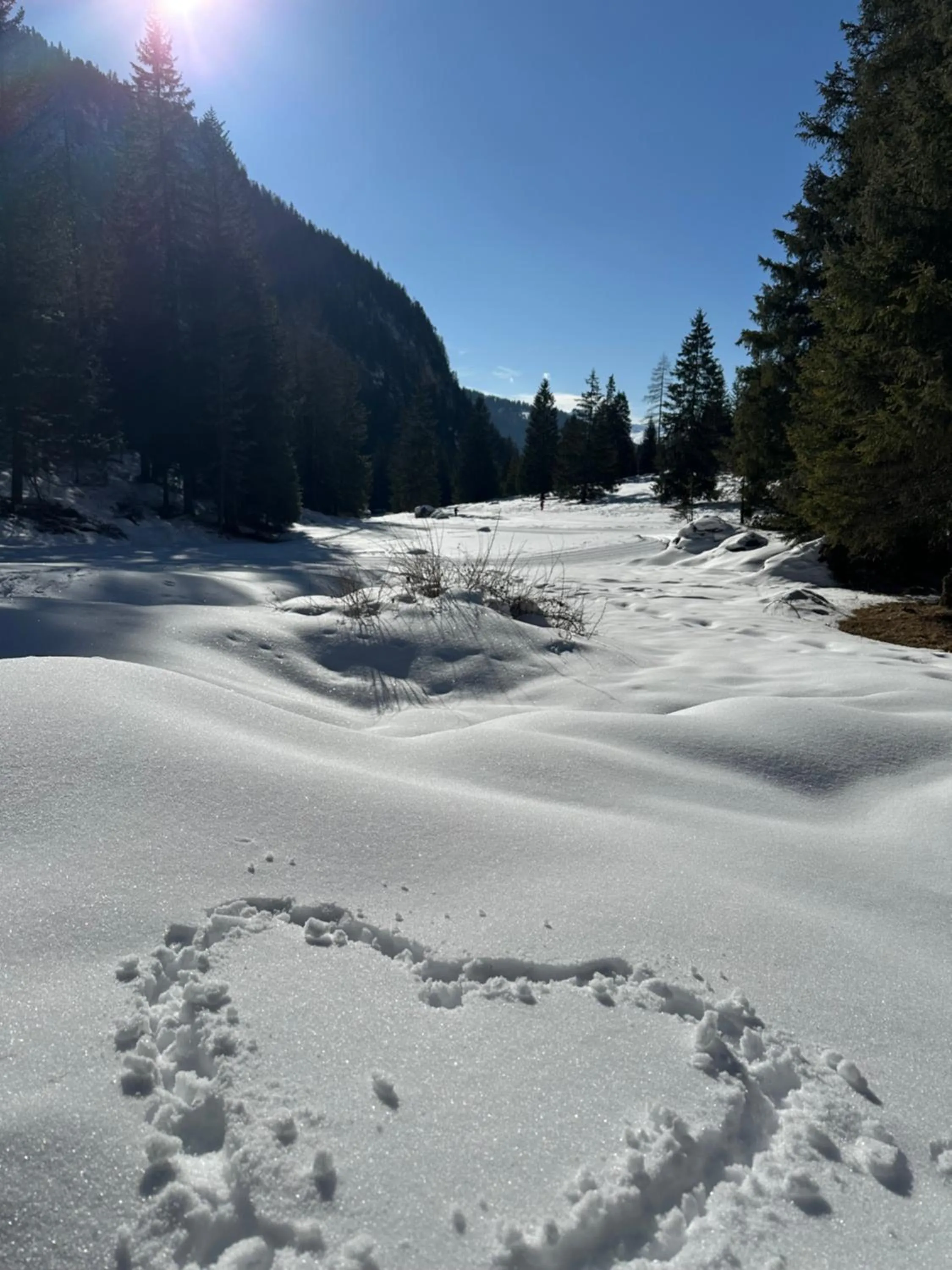 Skiing in Garnì Villa Erna