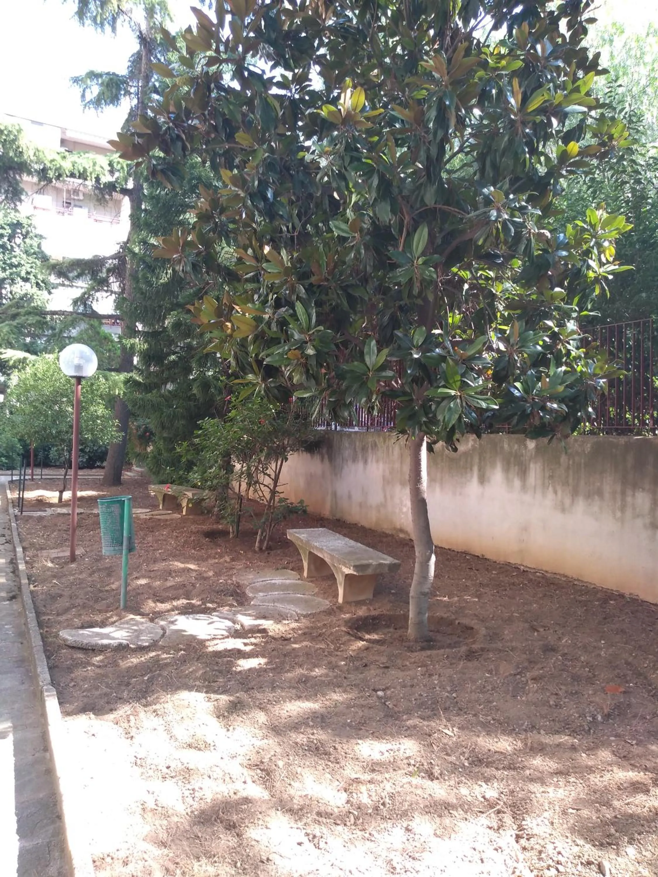 Garden in Tanzi Home