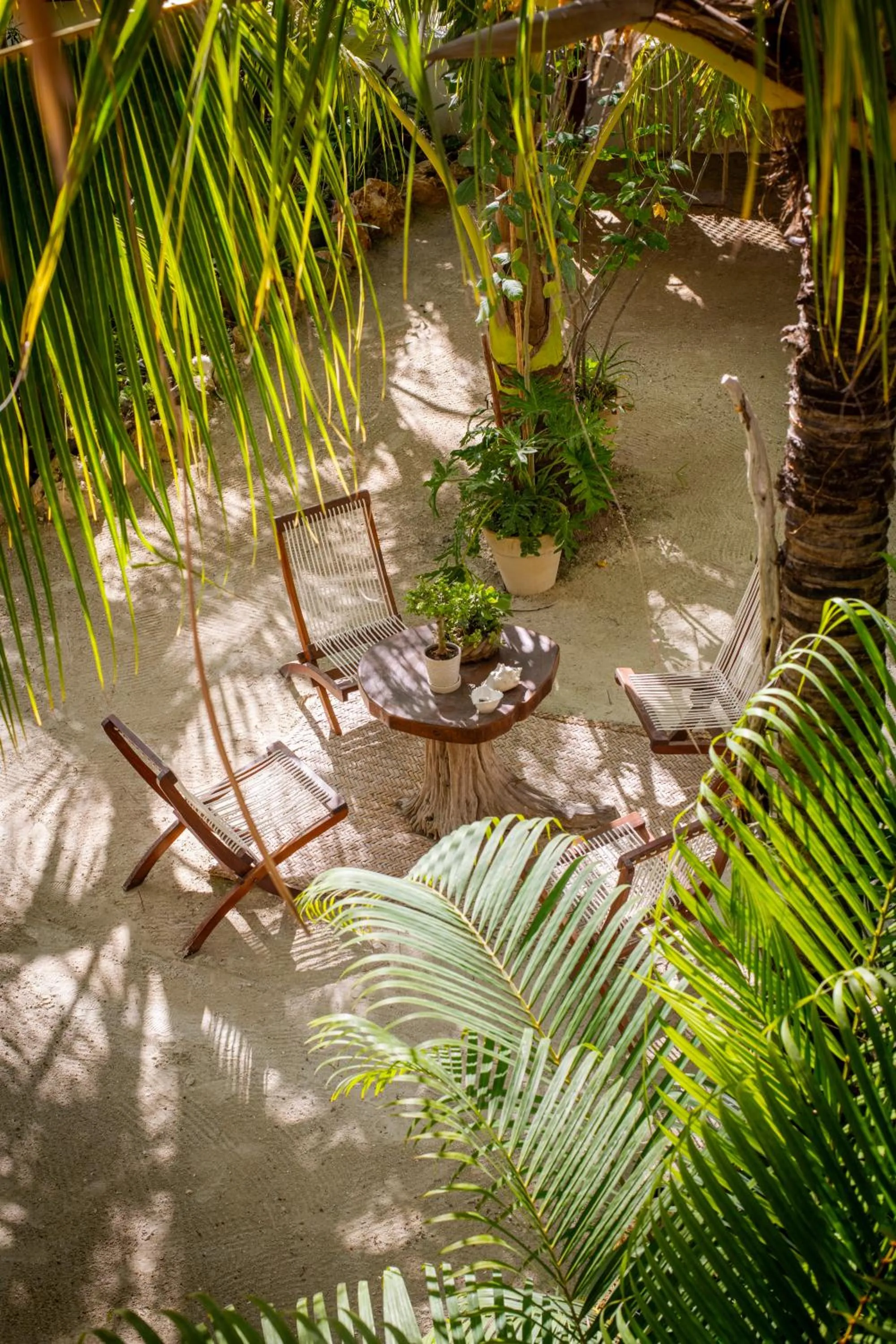 Garden in El Corazón Boutique Hotel - Adults Only with Beach Club pass included