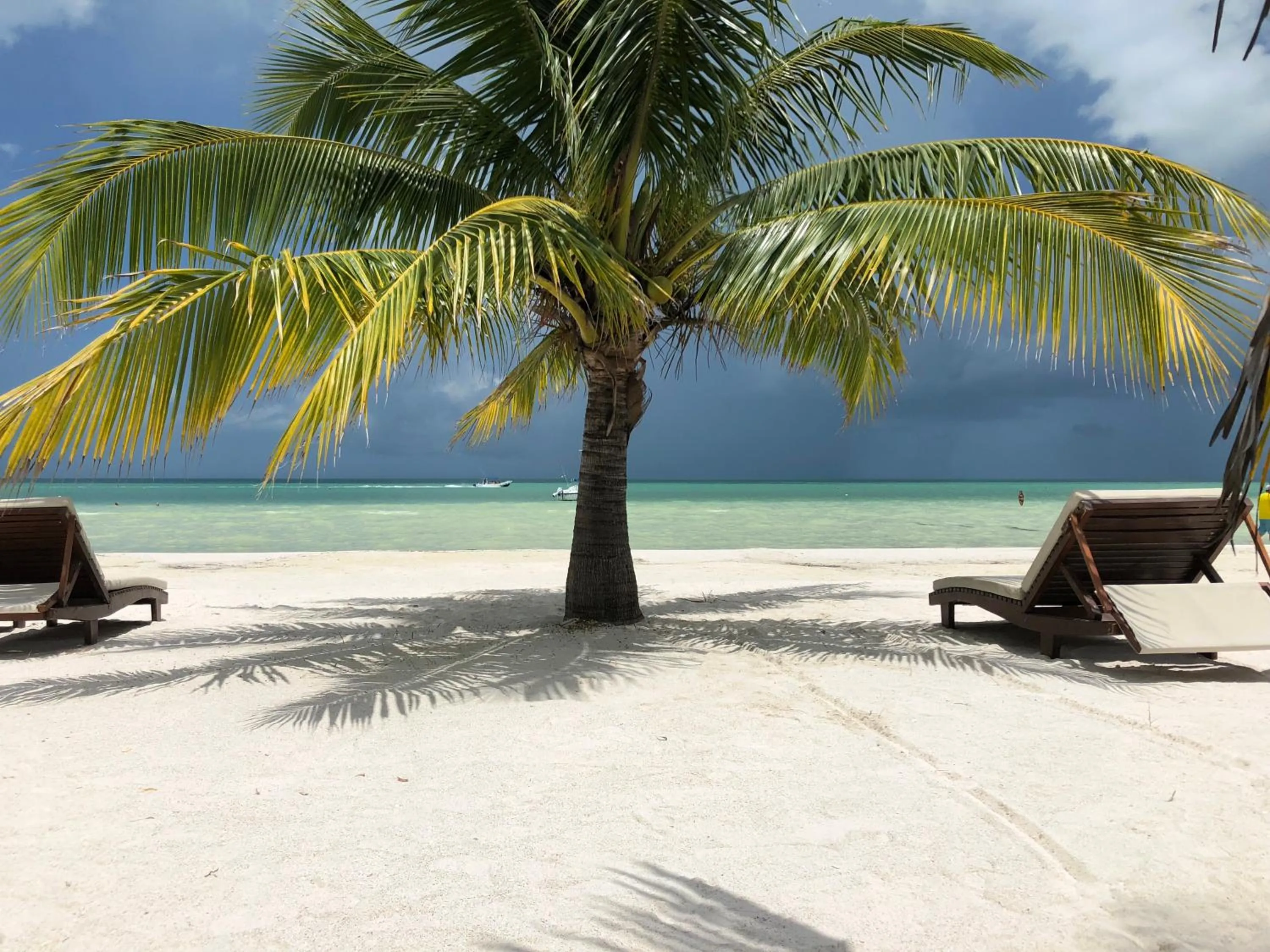 Beach in El Corazón Boutique Hotel - Adults Only with Beach Club pass included