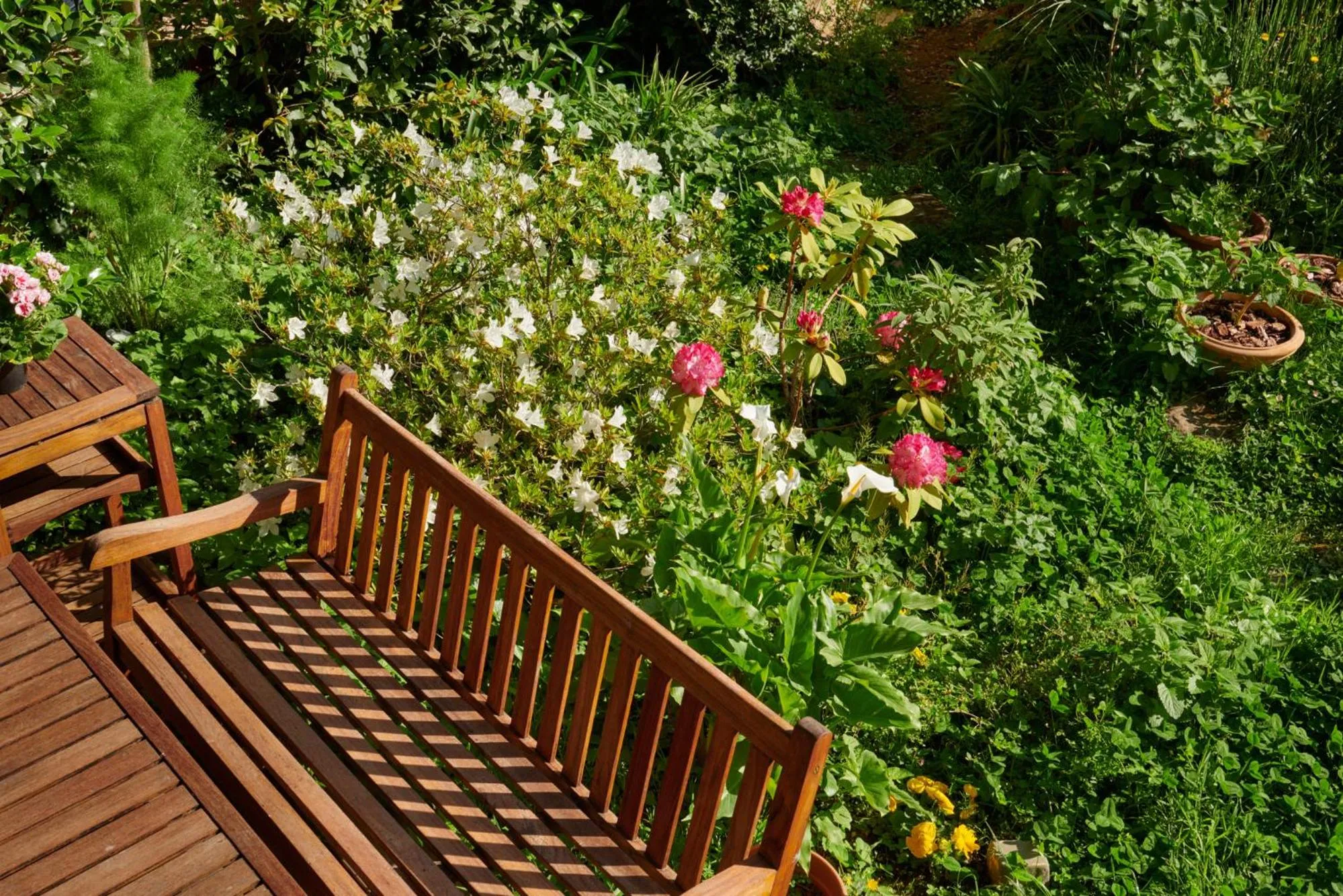 Garden in Palm Gallery Hotel