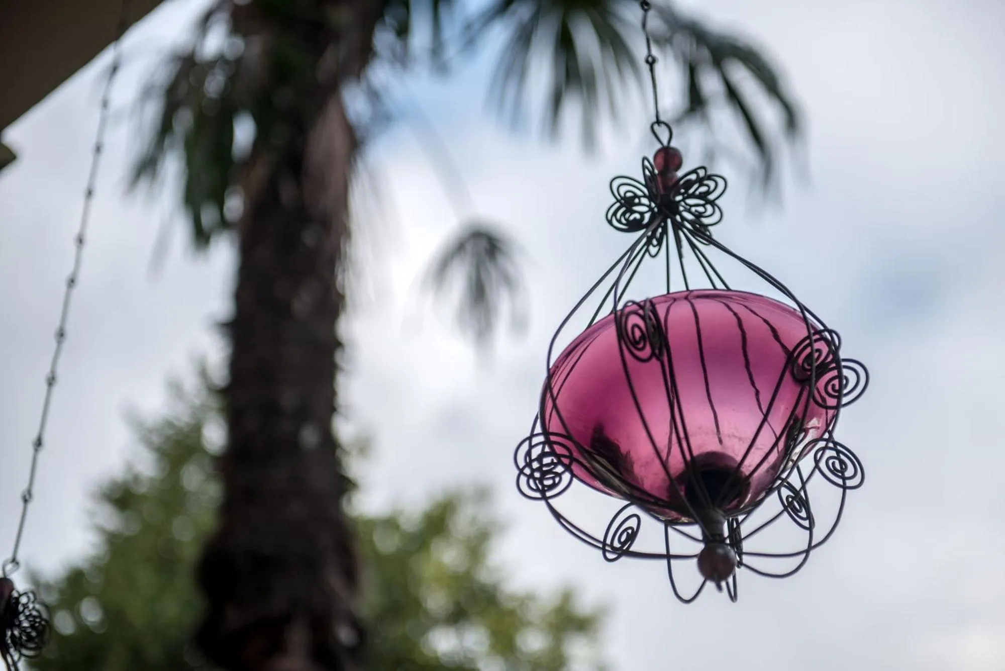 Property building in Palm Gallery Hotel