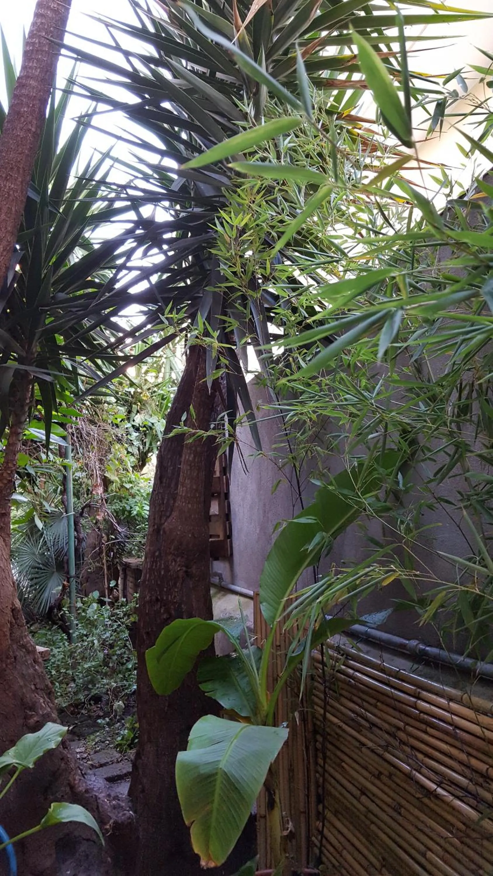 King Room with Garden View - single occupancy in Palm Gallery Hotel