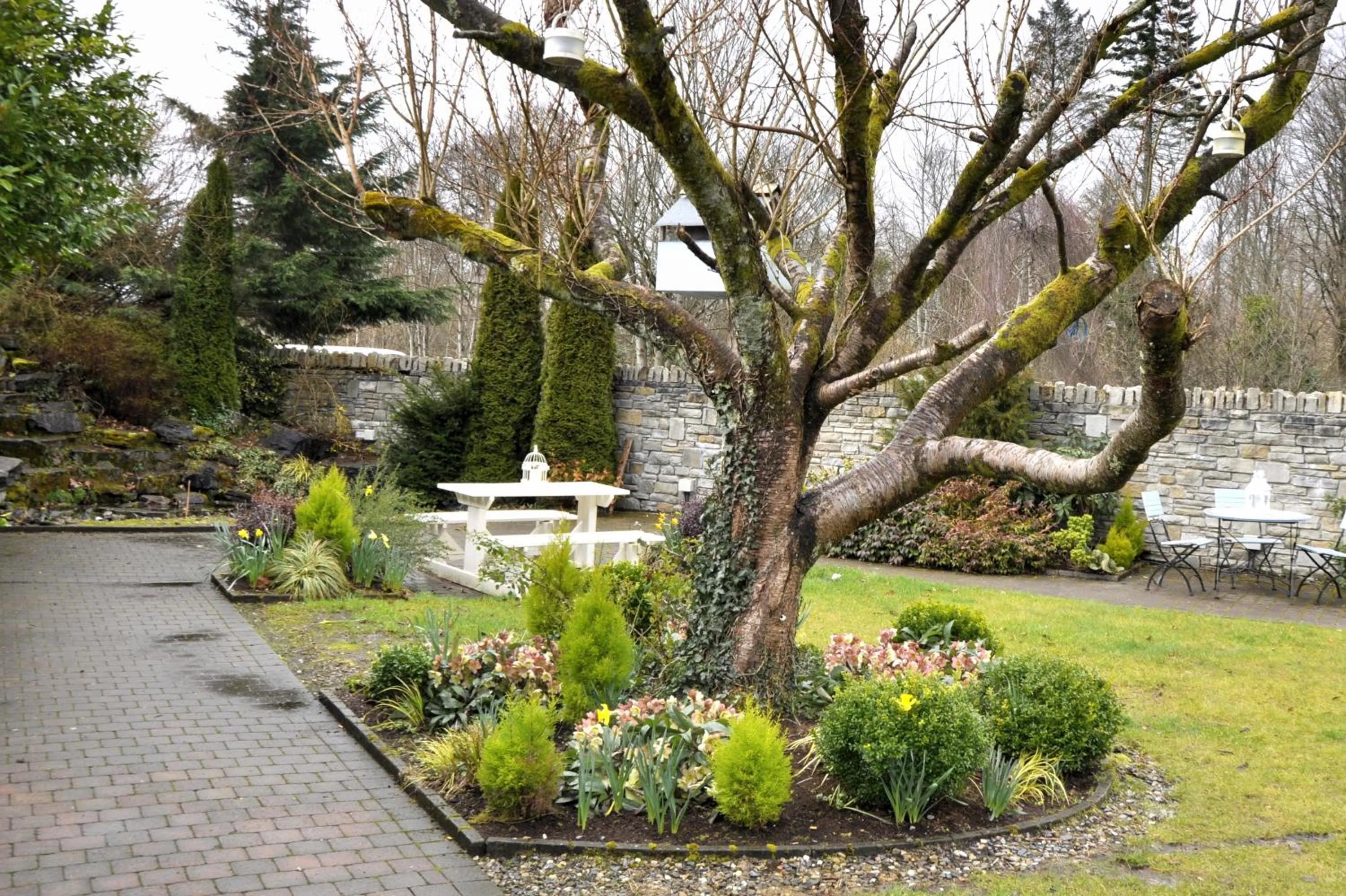 Day, Garden in Jackson's Hotel & Leisure Centre