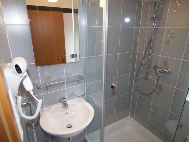 Standard Double Room - single occupancy in Lipovka penzion