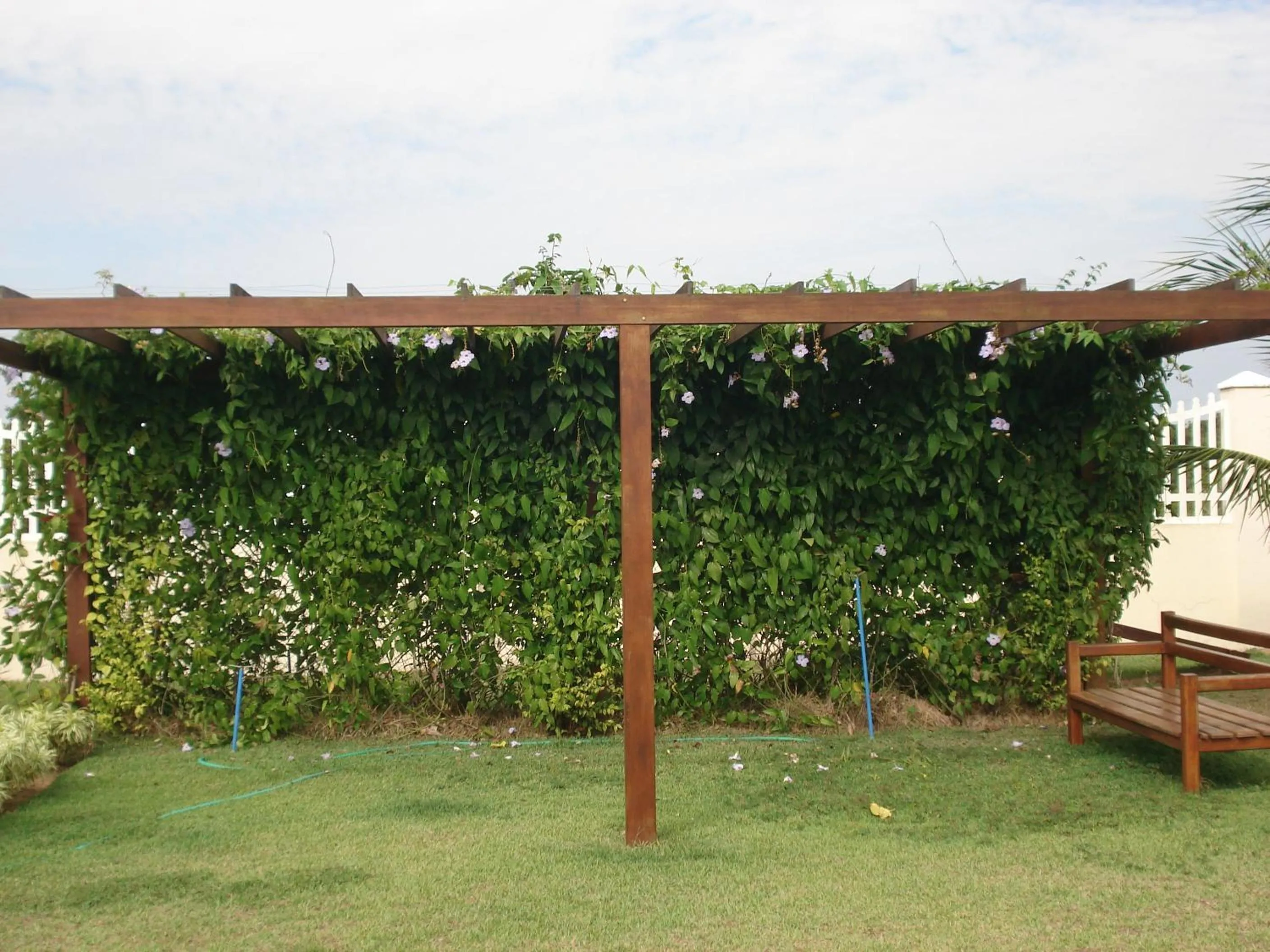 Garden in Villaggio dos Ventos